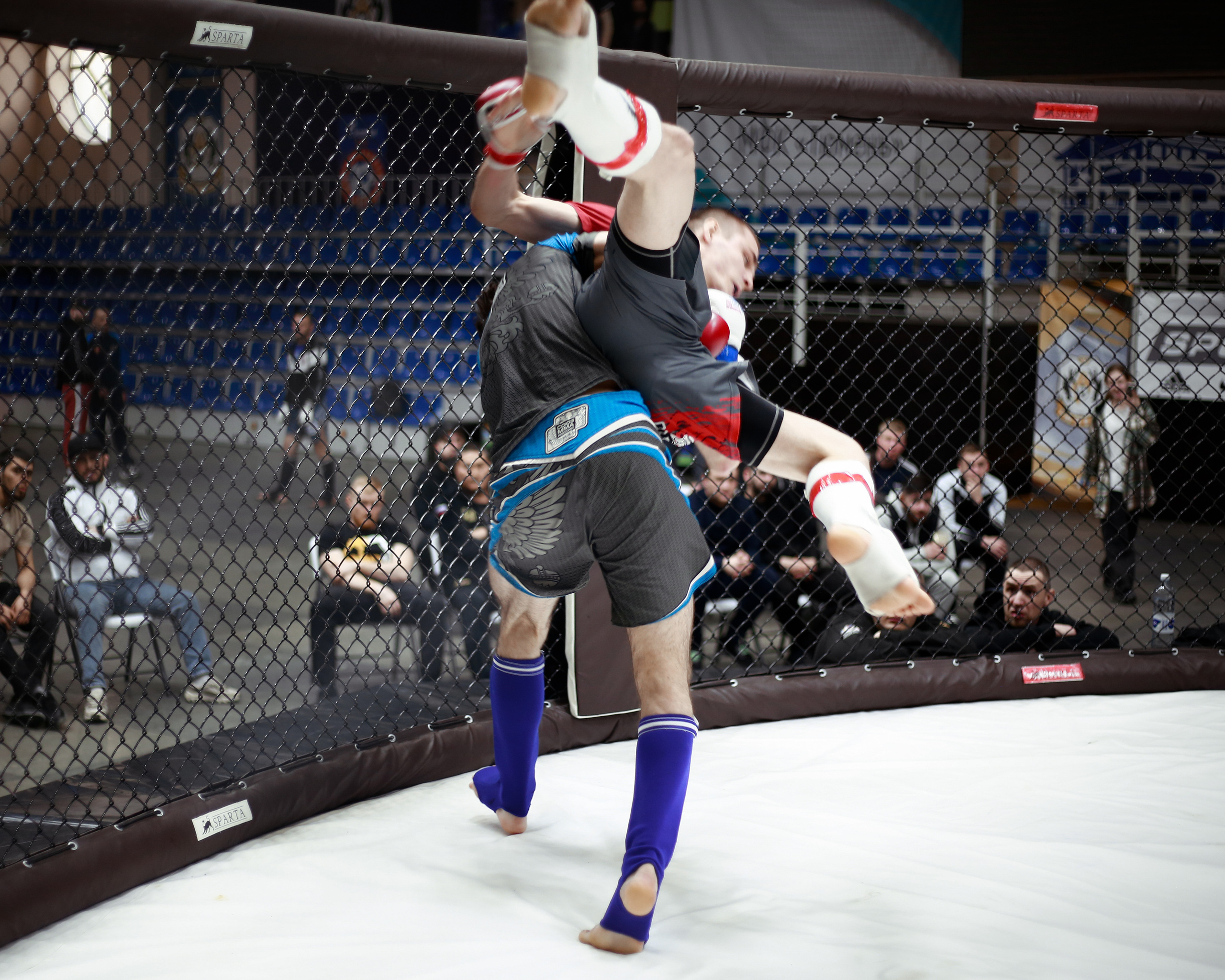 УРФО ММА. Больше не греет