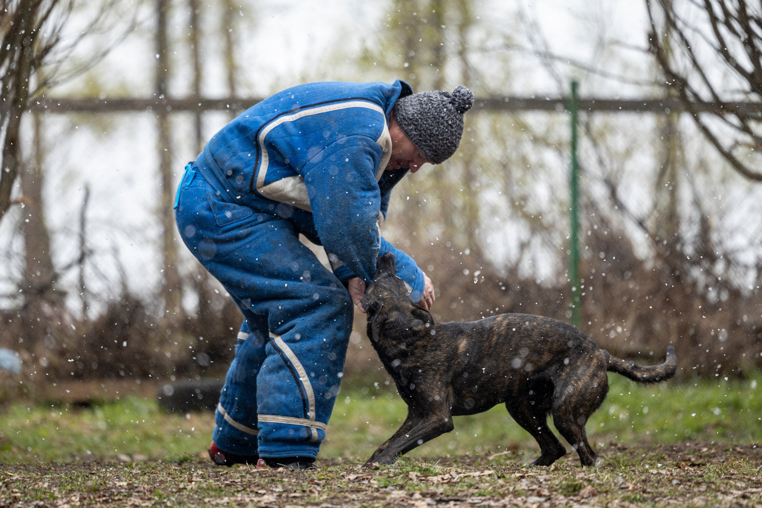 Квалификационные состязания по мондьорингу г. Вологда 11.05.24. Фотограф-анималист Анна Маринич