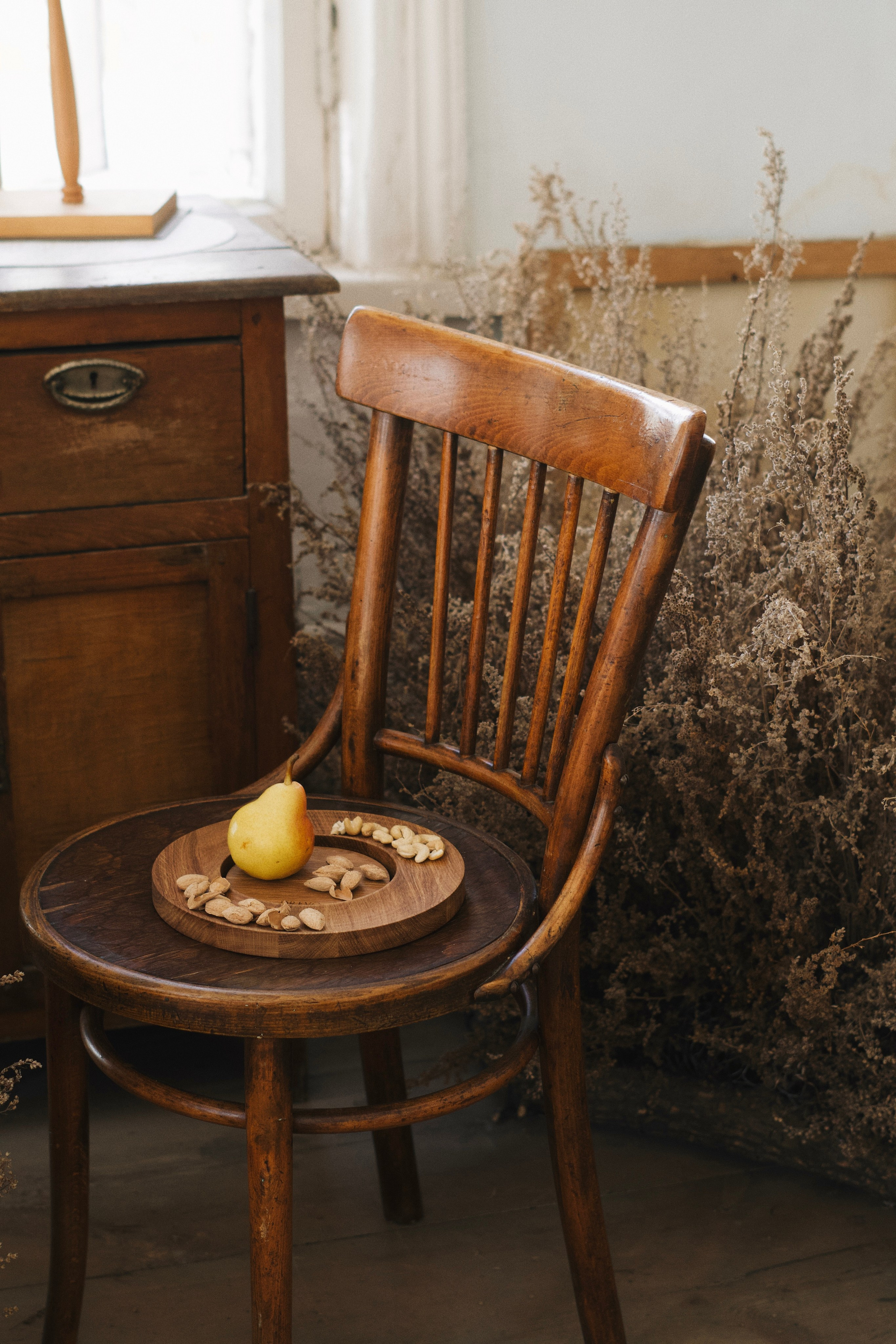 Drevo. Photokoval.ru