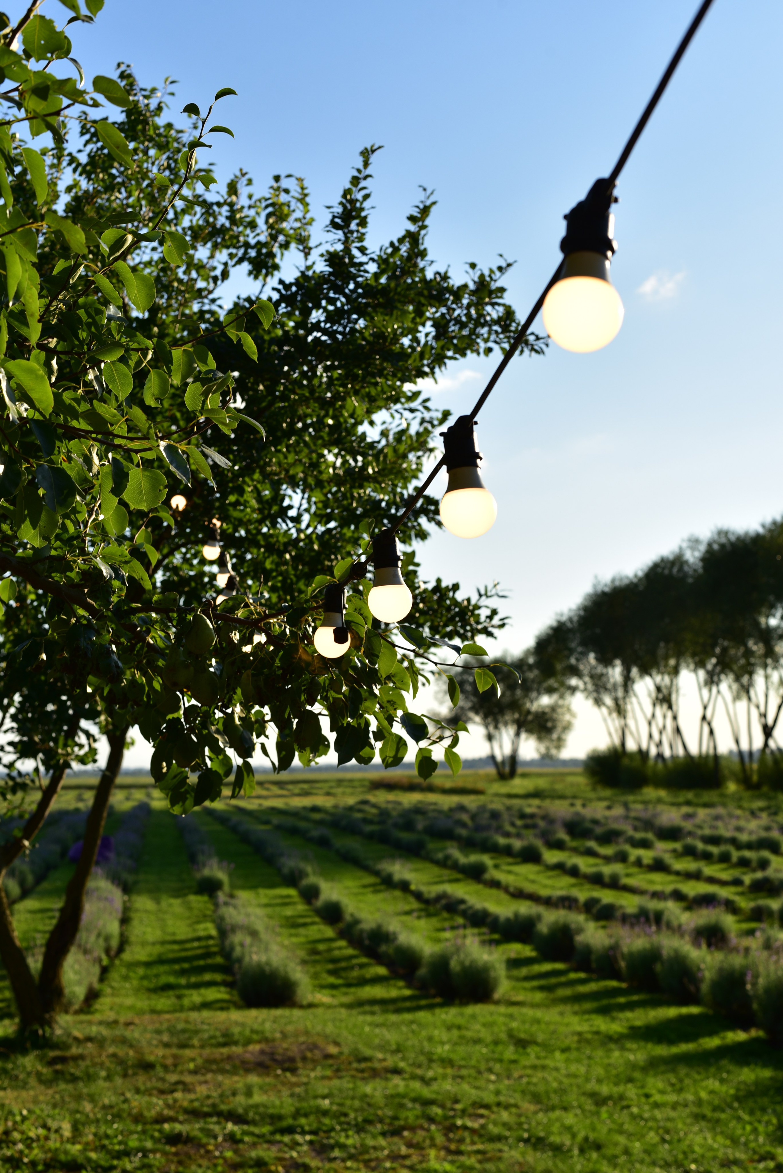 Наталья и Владимир. Свадебный и семейный фотограф в Воронеже Ксения Воротникова