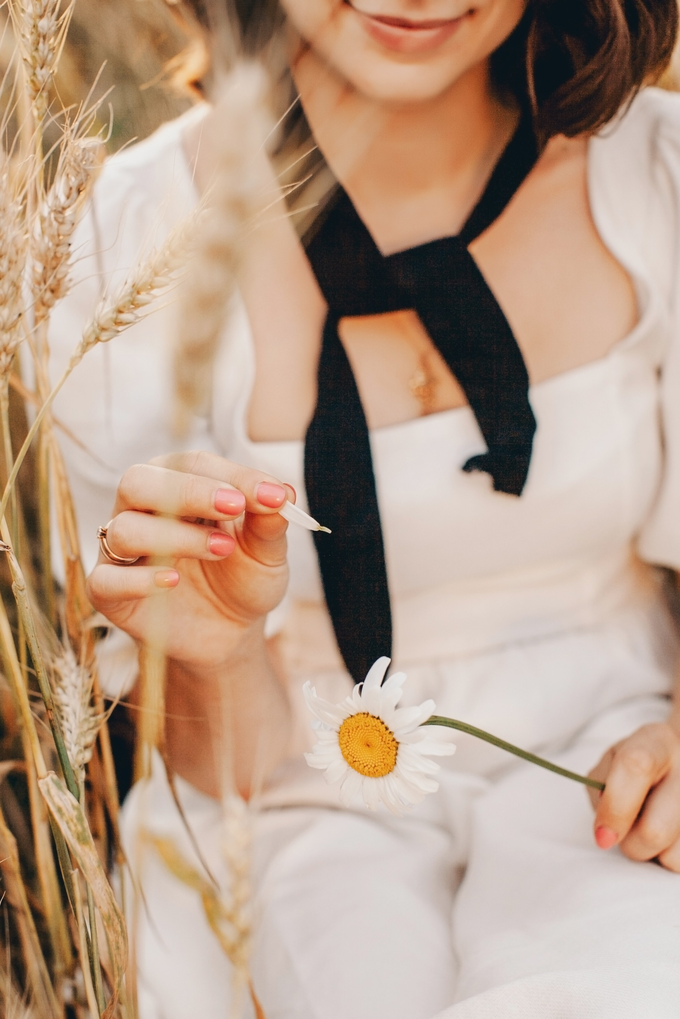 Семейная фотосессия в поле на закате. Фотограф Ольга Ефремова