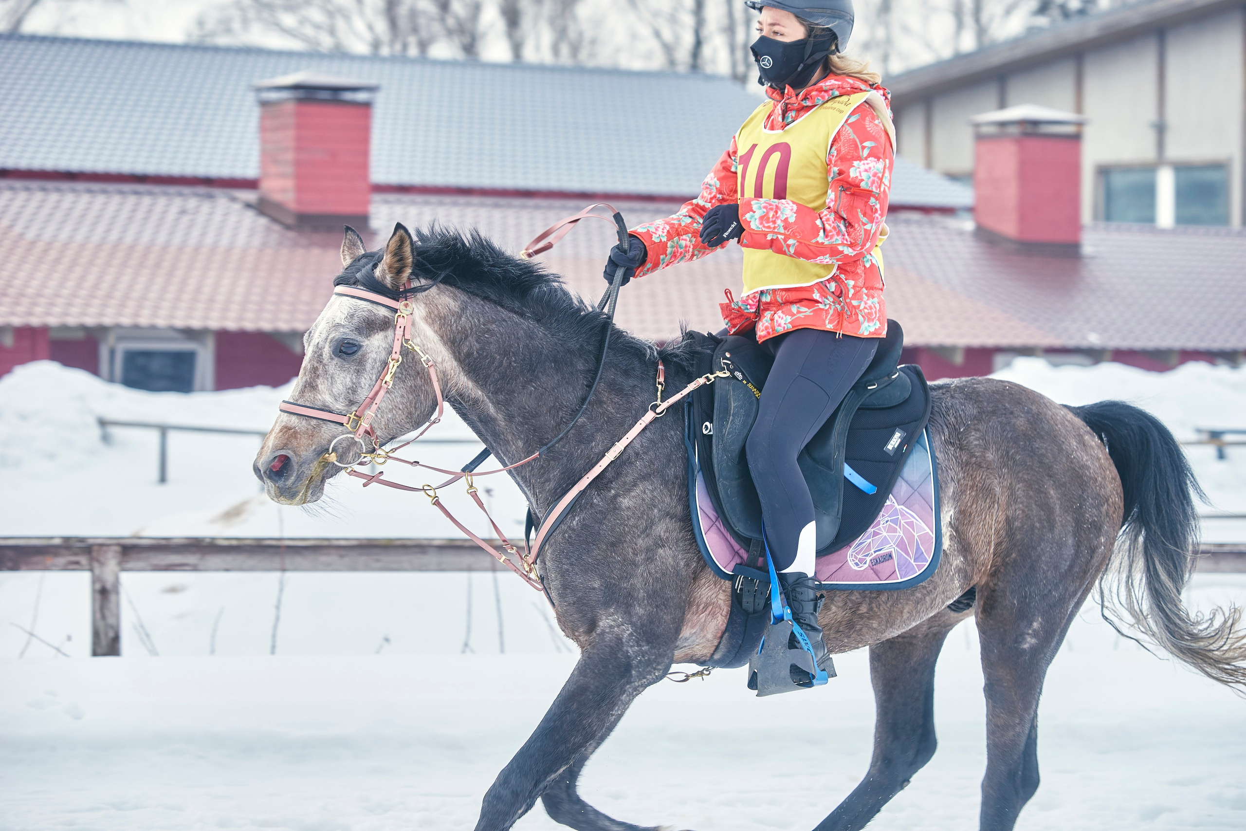 HORSE RACING. Фотограф Наталья Леонова