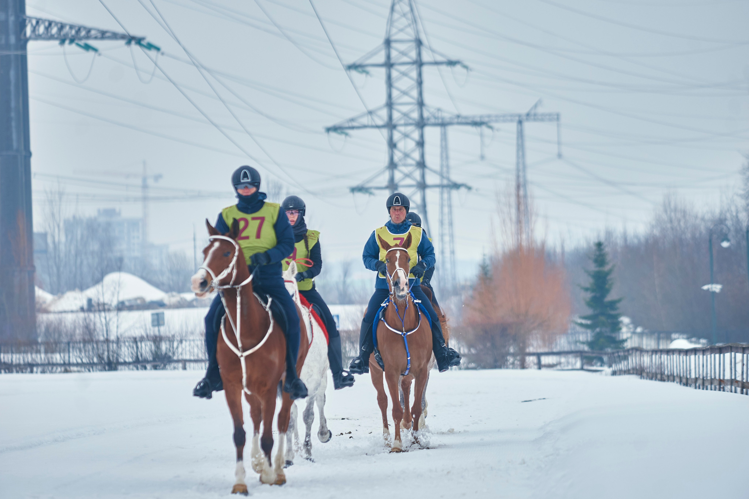 HORSE RACING. Фотограф Наталья Леонова
