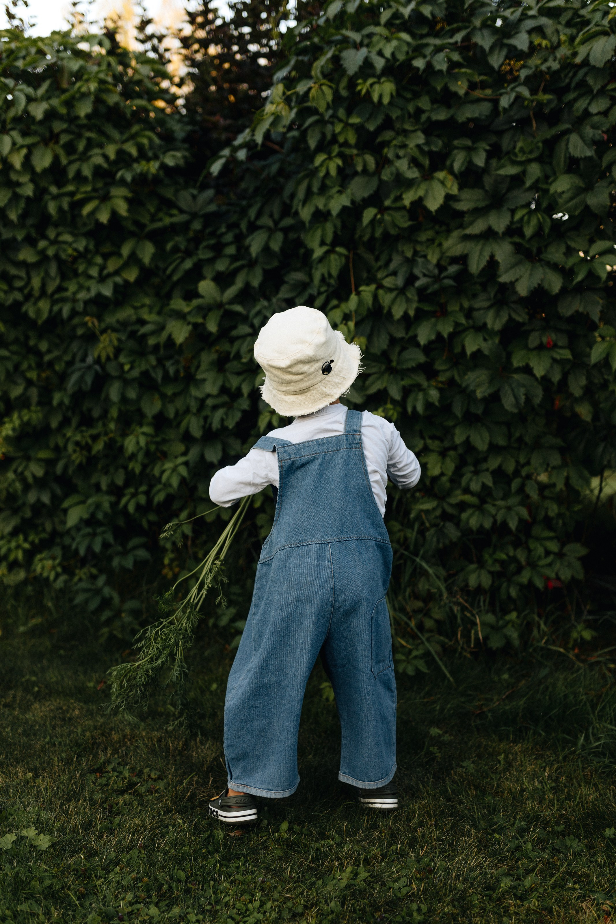 Дачники. Главная