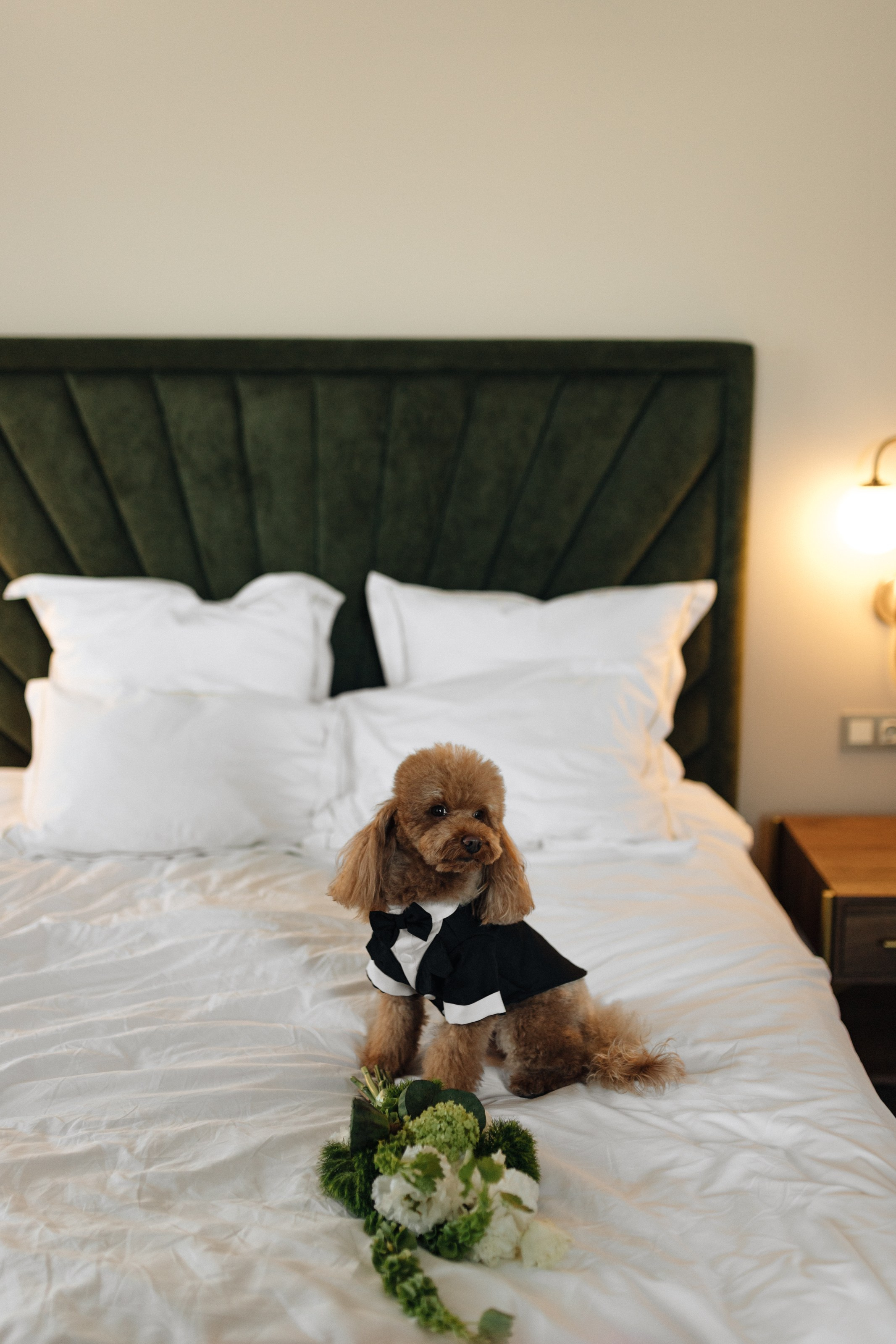 Ксения & Глеб. Свадебный фотограф в Санкт-Петербурге Шалимова Каролина