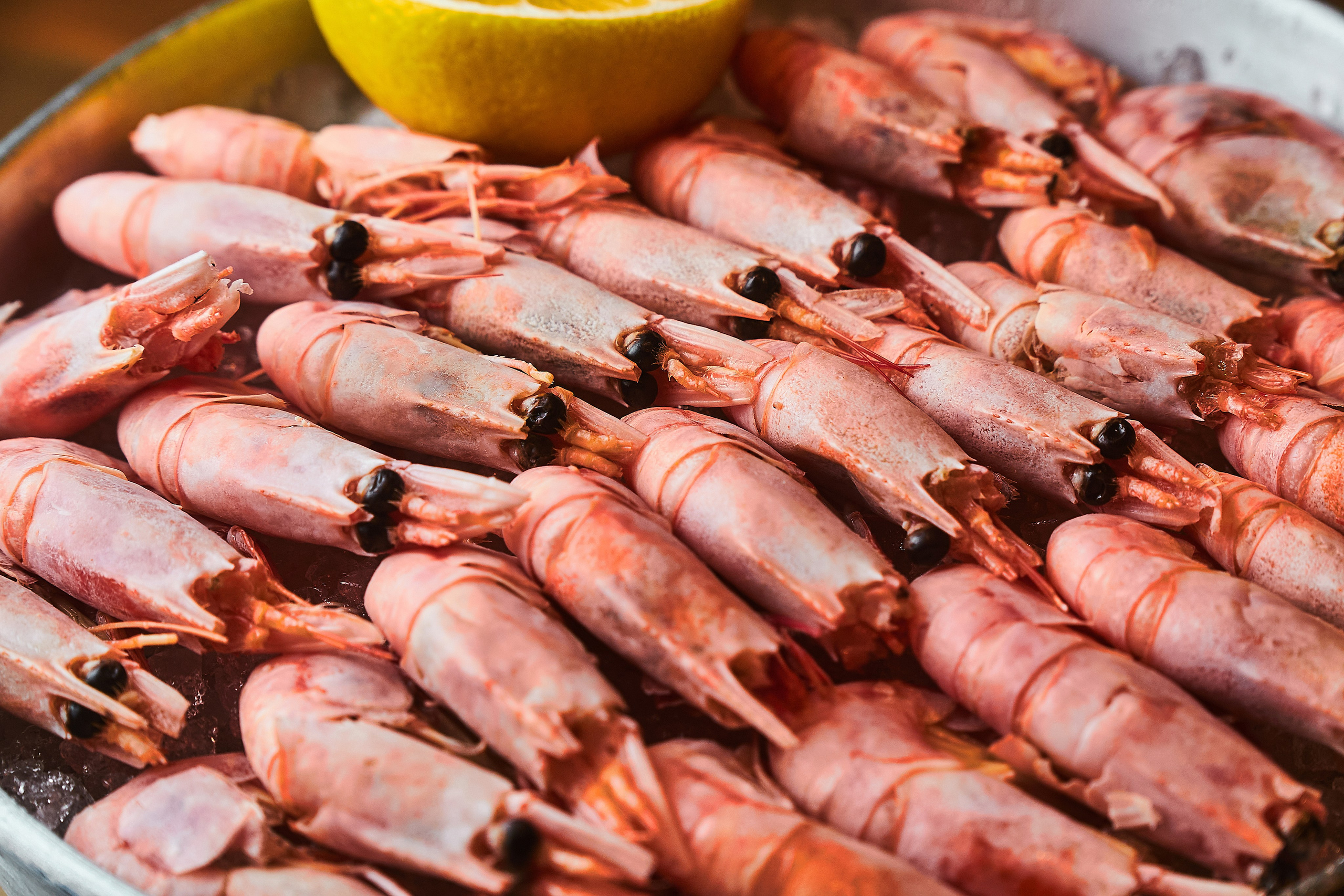 Kaba. Фотограф Казань
