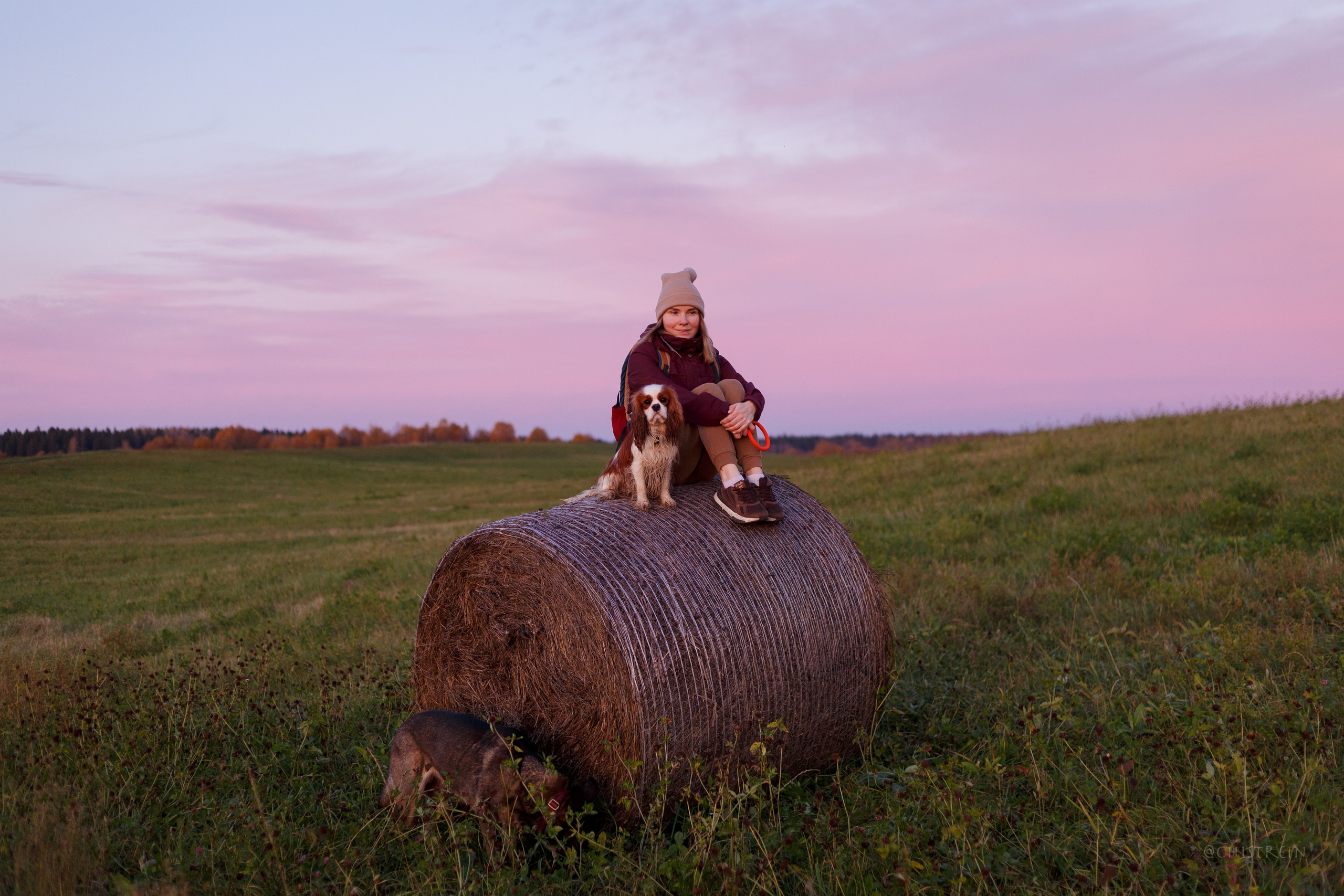 Октябрьский закат в полях. Алина и Лео. Фотограф-анималист Наталия Чистюхина в г. Сосновый Бор и ЛО