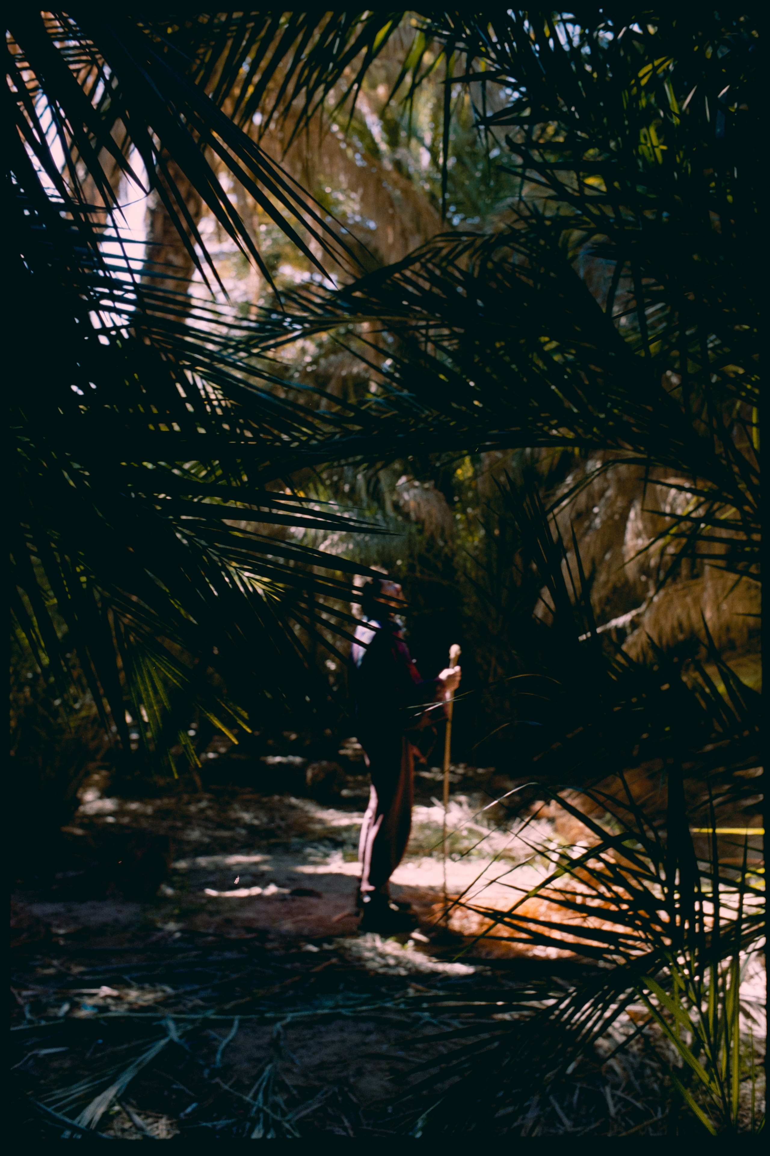 Марокко (плёнка Алёны). Игорь Гичка. Портрет с любовью