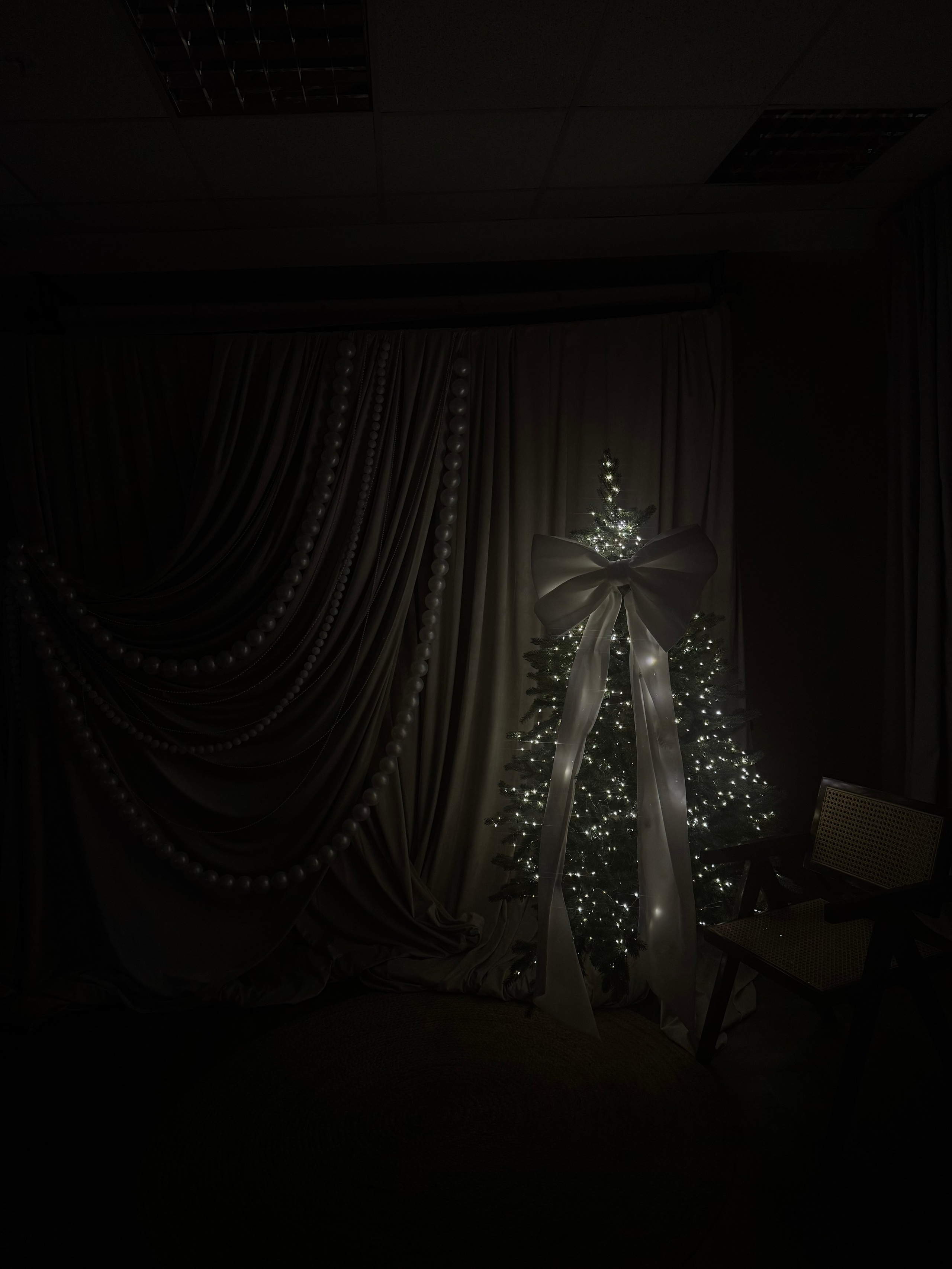 НГ 2025-2026. Фотограф НатаФото (Наталья Яковенко) Дмитров Москва Питер