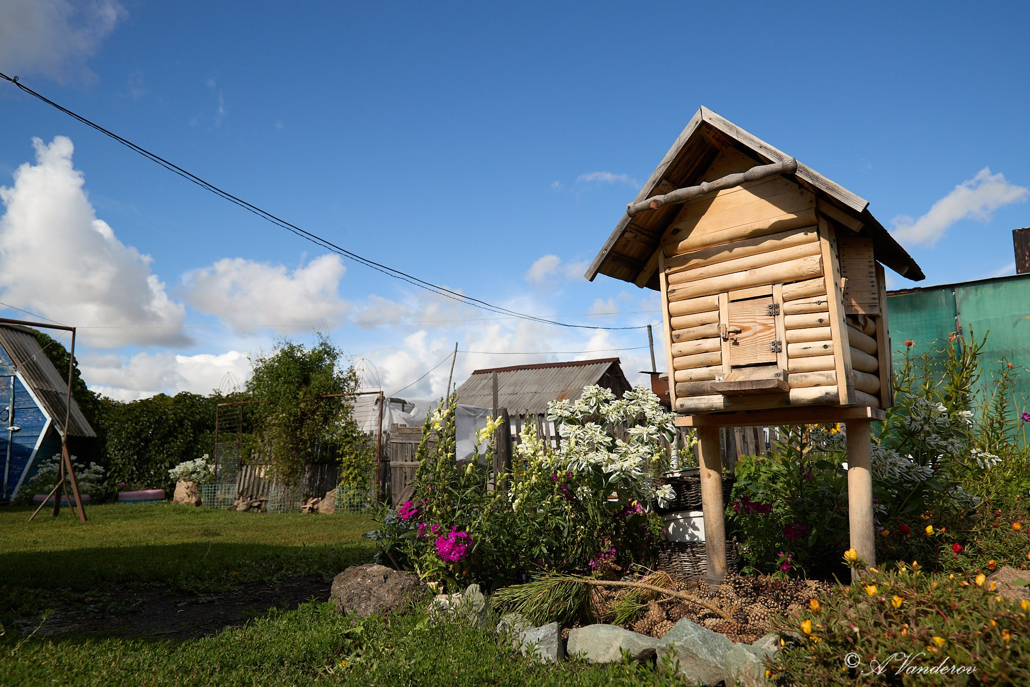 Село Савкино Баганского района Новосибирской области. Фотограф Омск | Александр Вандеров
