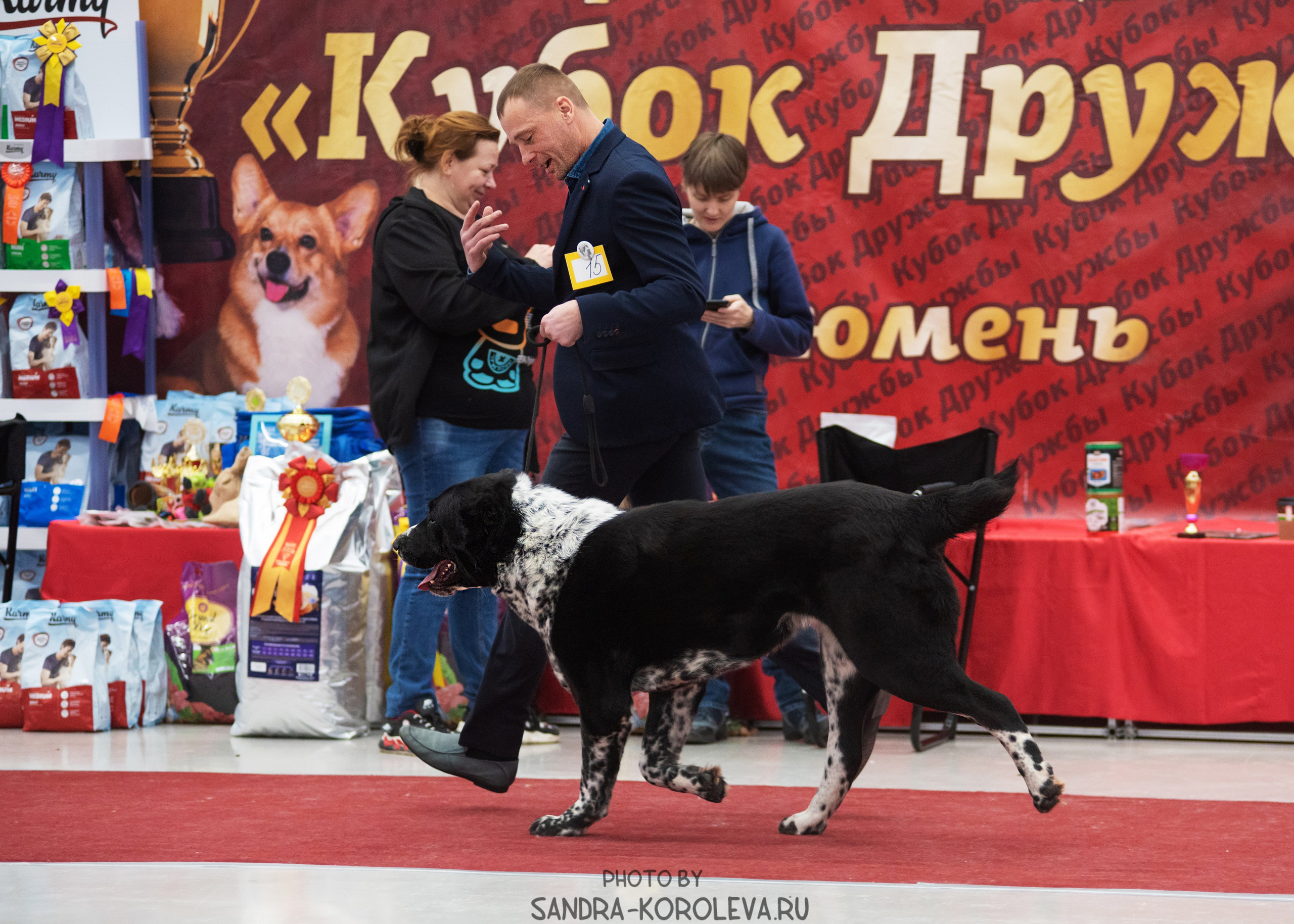 Выставка собак тюмень 10.12.2022. Дог-фотограф в Тюмени Александра Королева
