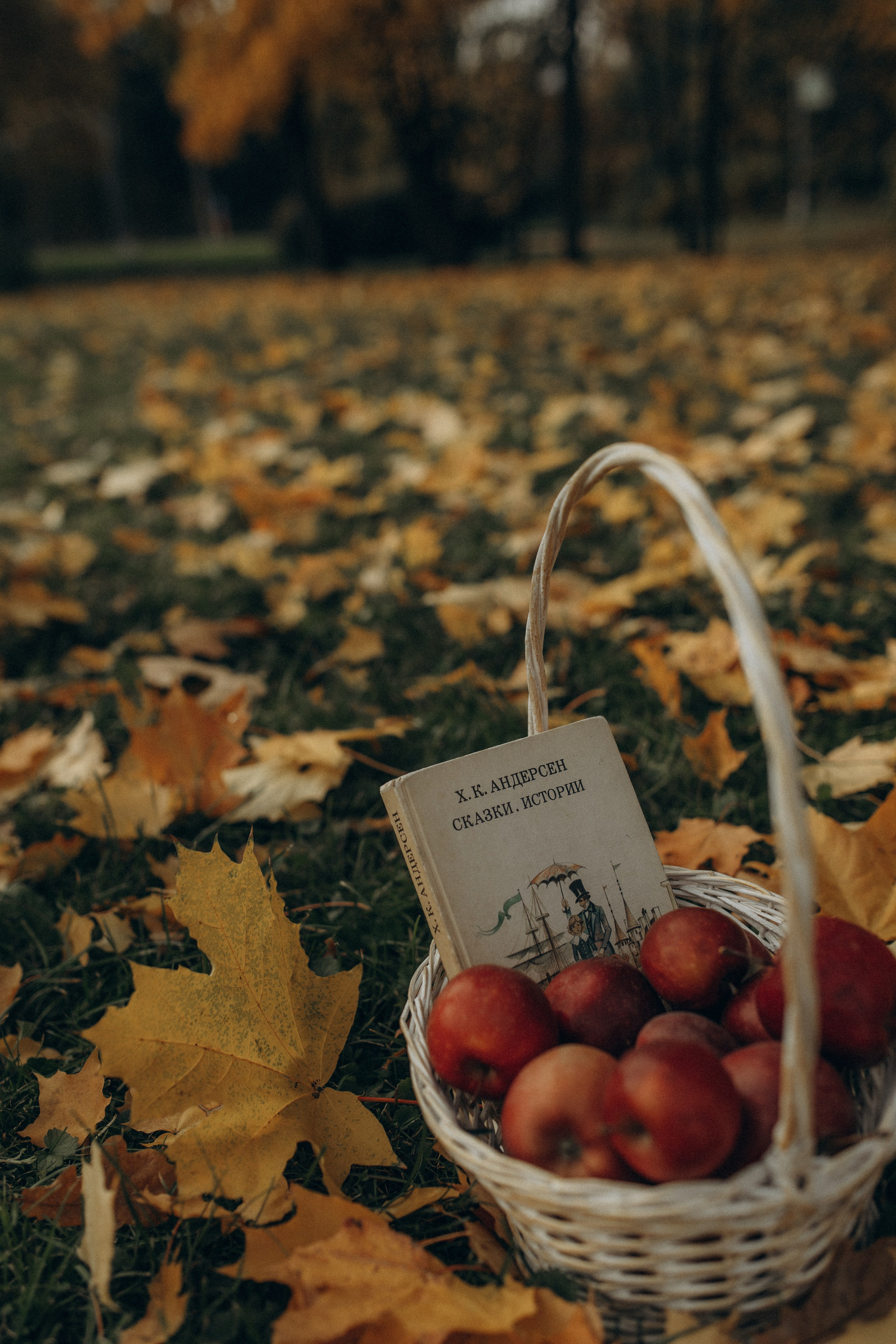 Елена, Владимир и Лея. Фотограф в Петербурге Ольга Стрельченко