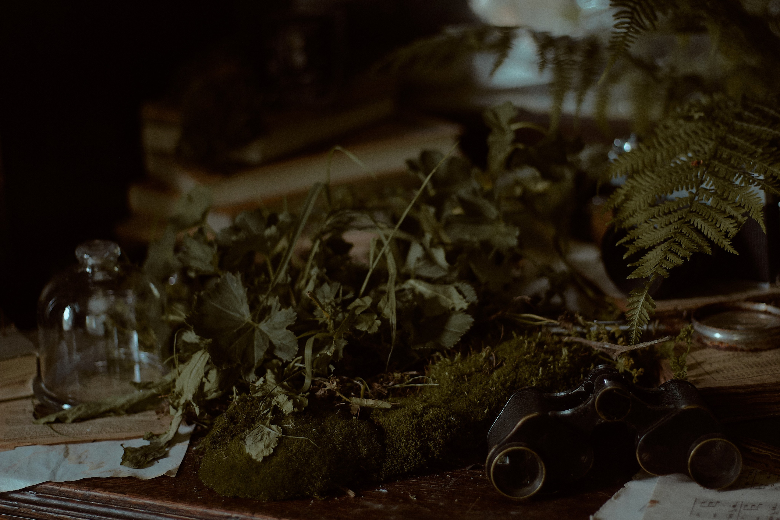 Люпин. Фотограф лавстори Москва/МО Приятелева Ангелина