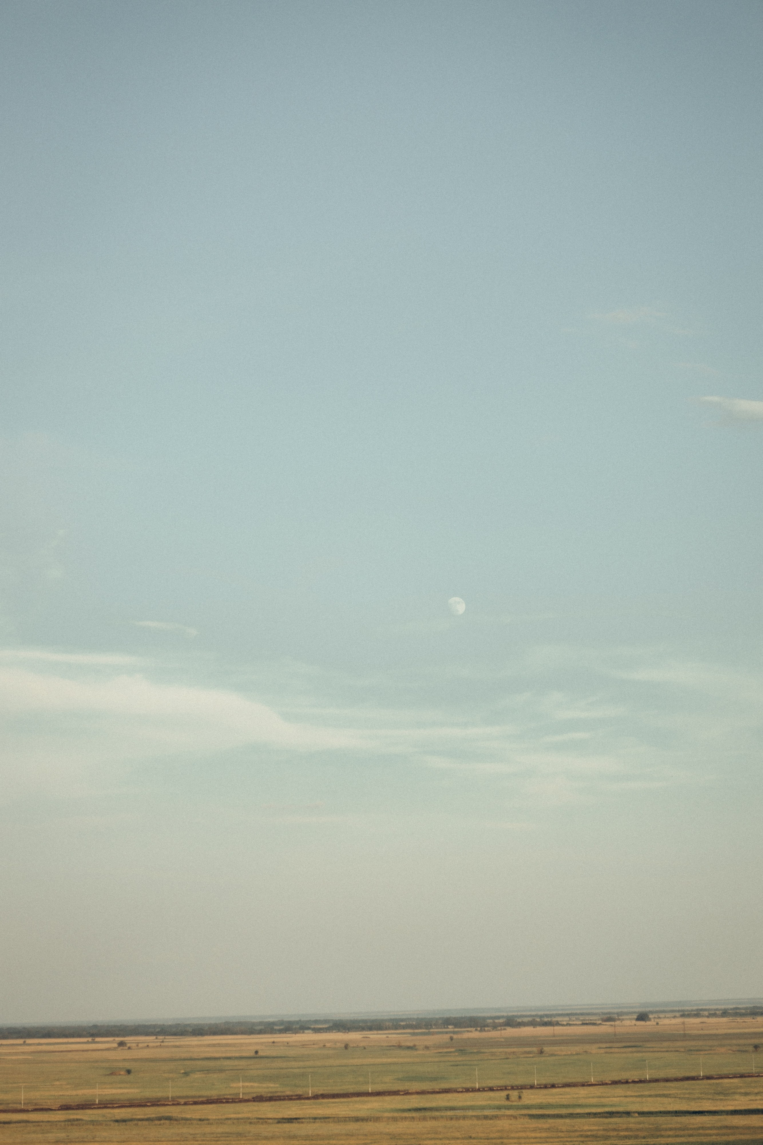 Оксана, Артем и Тимур. Семейный фотограф и фотограф на роды в Ростове-на-Дону Мухина Виктория