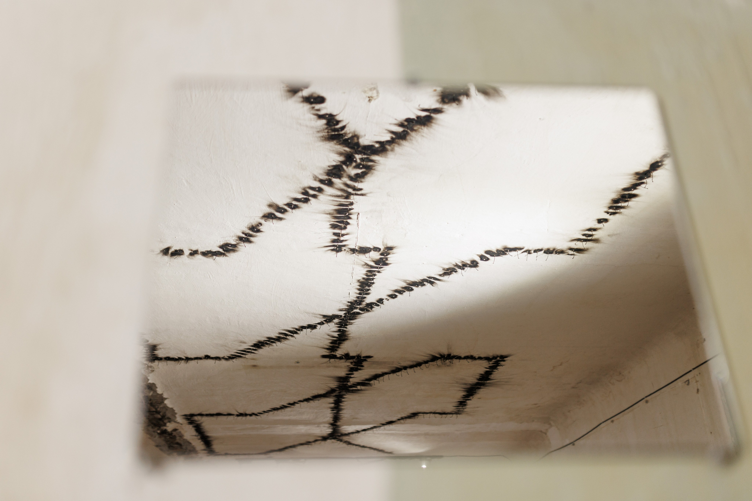 «Выксунский альбом» и «Вновь». Фотограф городских и семейных событий Артем Карпухин