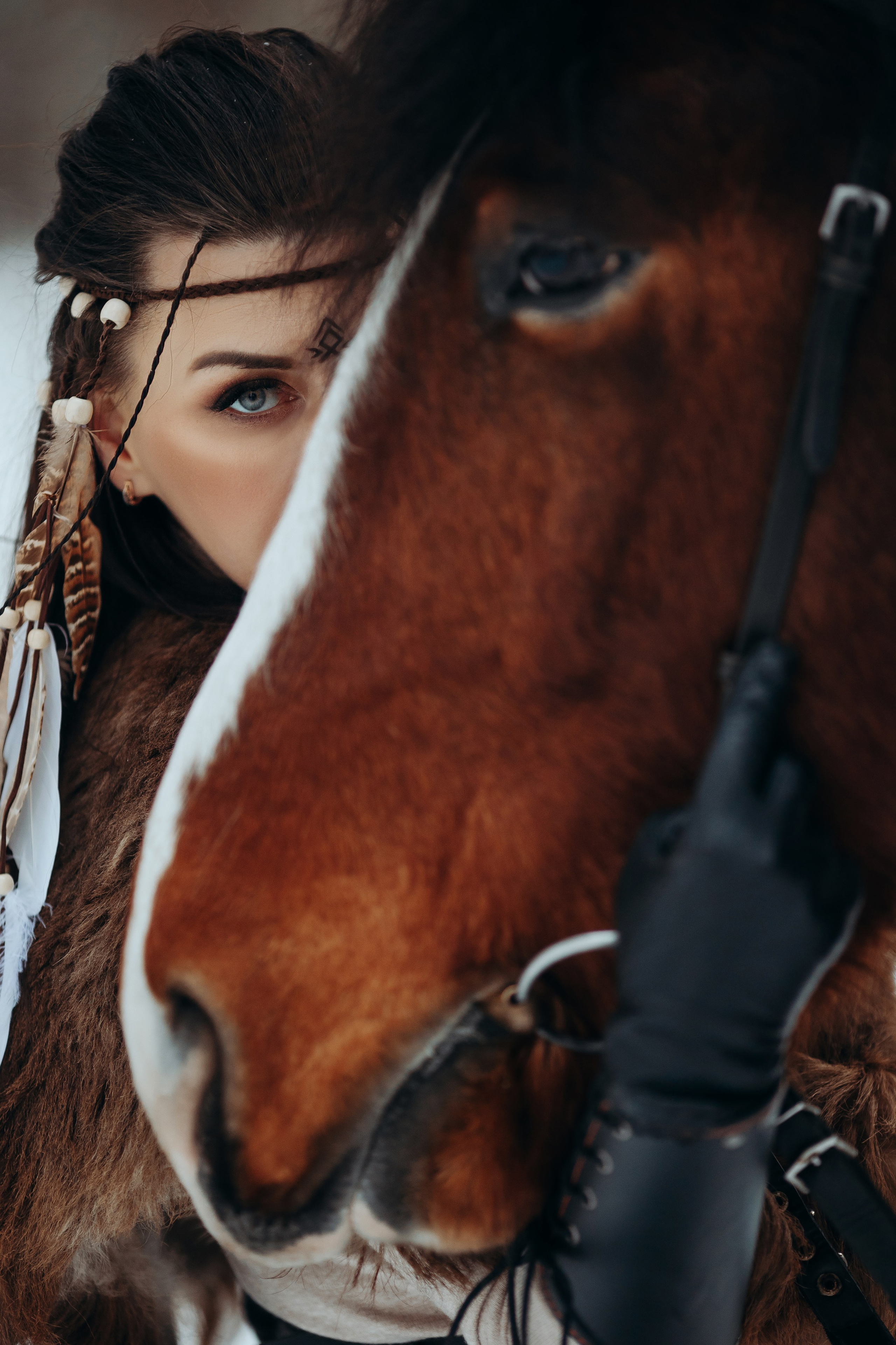 Викинги. Анна Молчанова конный фотограф в Тюмени | фотосессии с лошадьми Тюмень