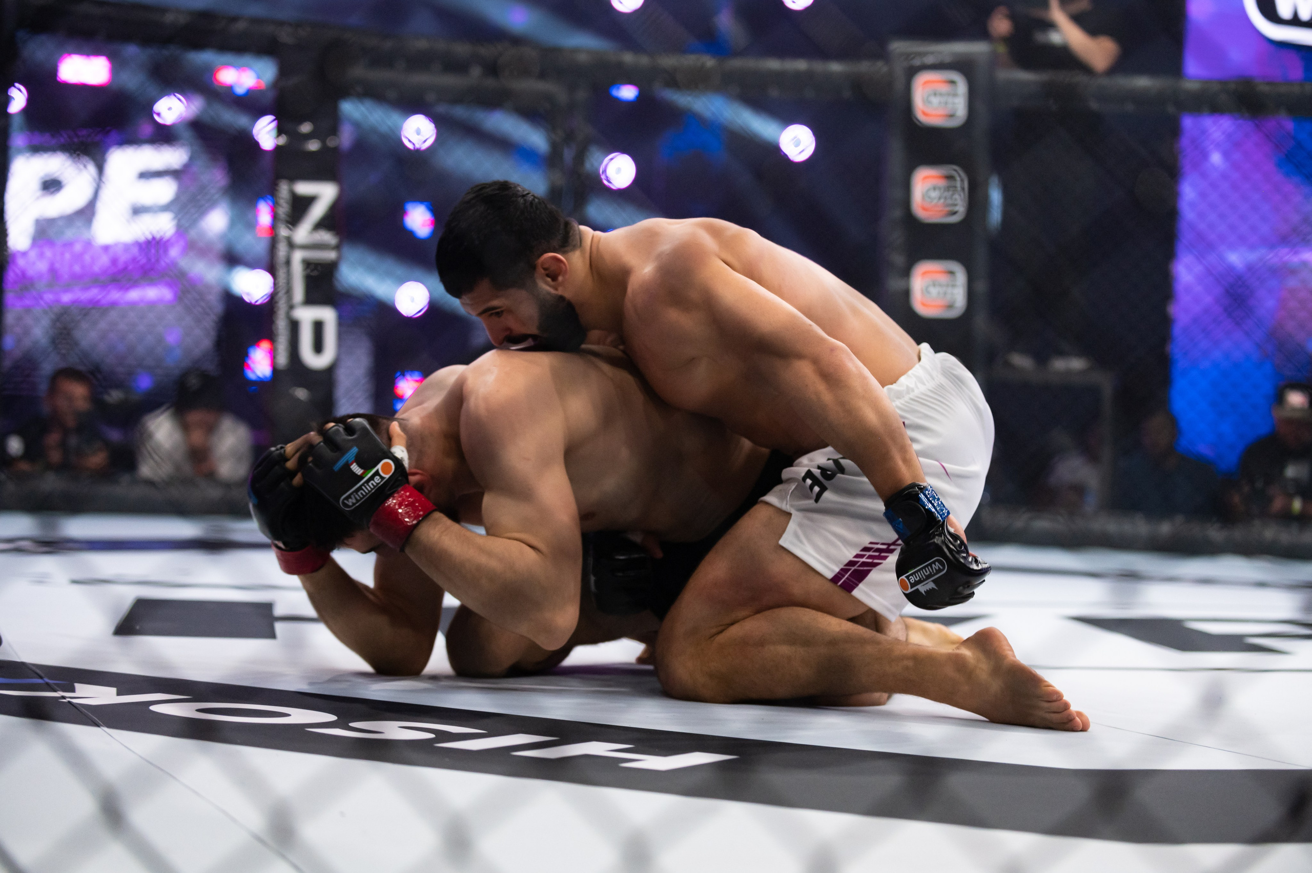 Бои. Репортажный фотограф в Красной Поляне и Сочи Павлюченко Екатерина