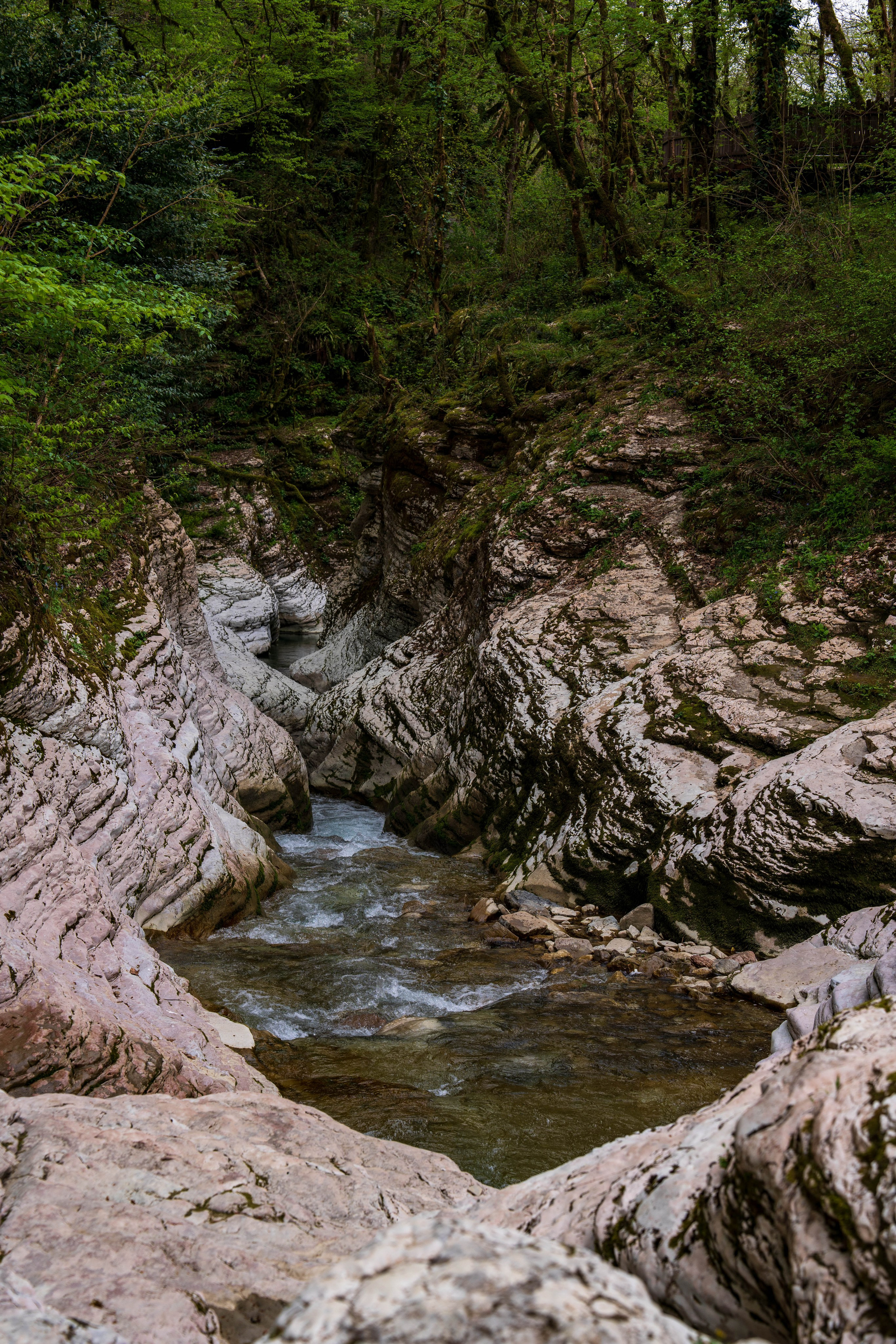 MICE мероприятие — джиппинг на каньон Псахо. Репортажный фотограф в Красной Поляне и Сочи Павлюченко Екатерина