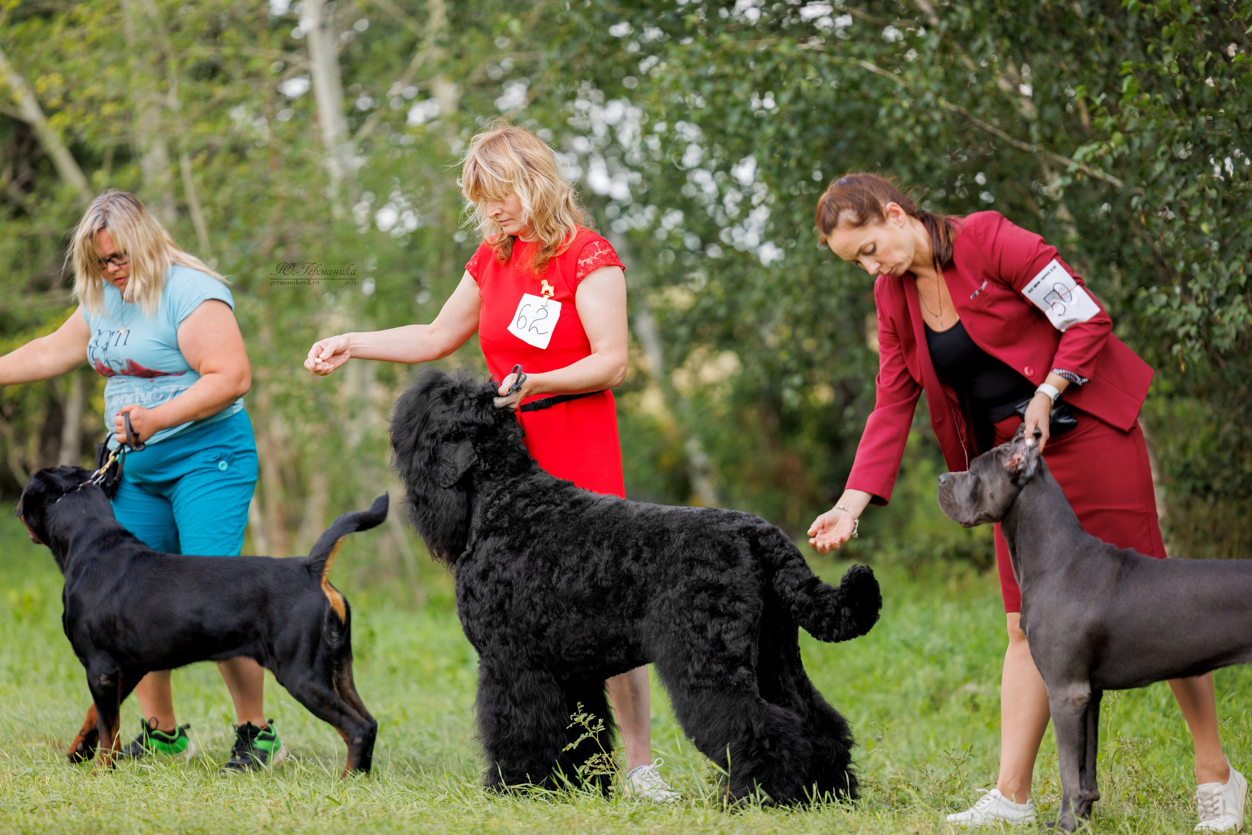 Астана 2хCACIB 17-18.08.2024. Фотограф-анималист Юлия Германика