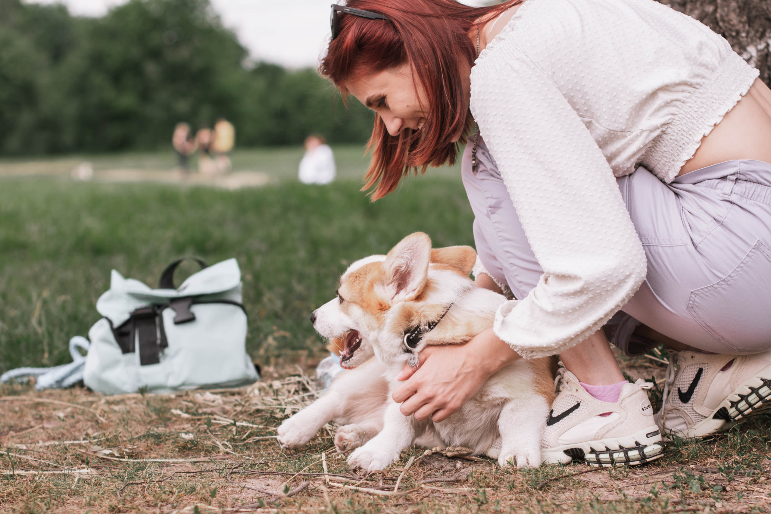 Репортаж встречи владельцев собак породы корги. Фотограф собак, анималист в Москве Кира Яковлева