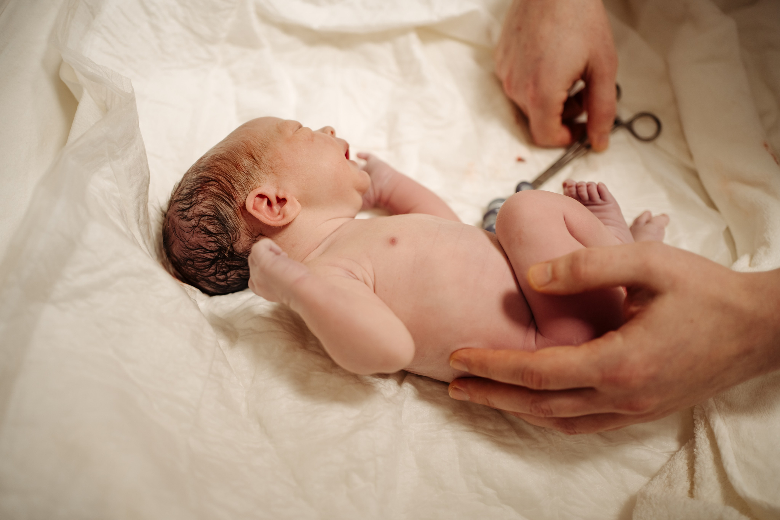 Съемка родов цвет. Фотограф и видеограф на роды в Москве Подшивалова Полина