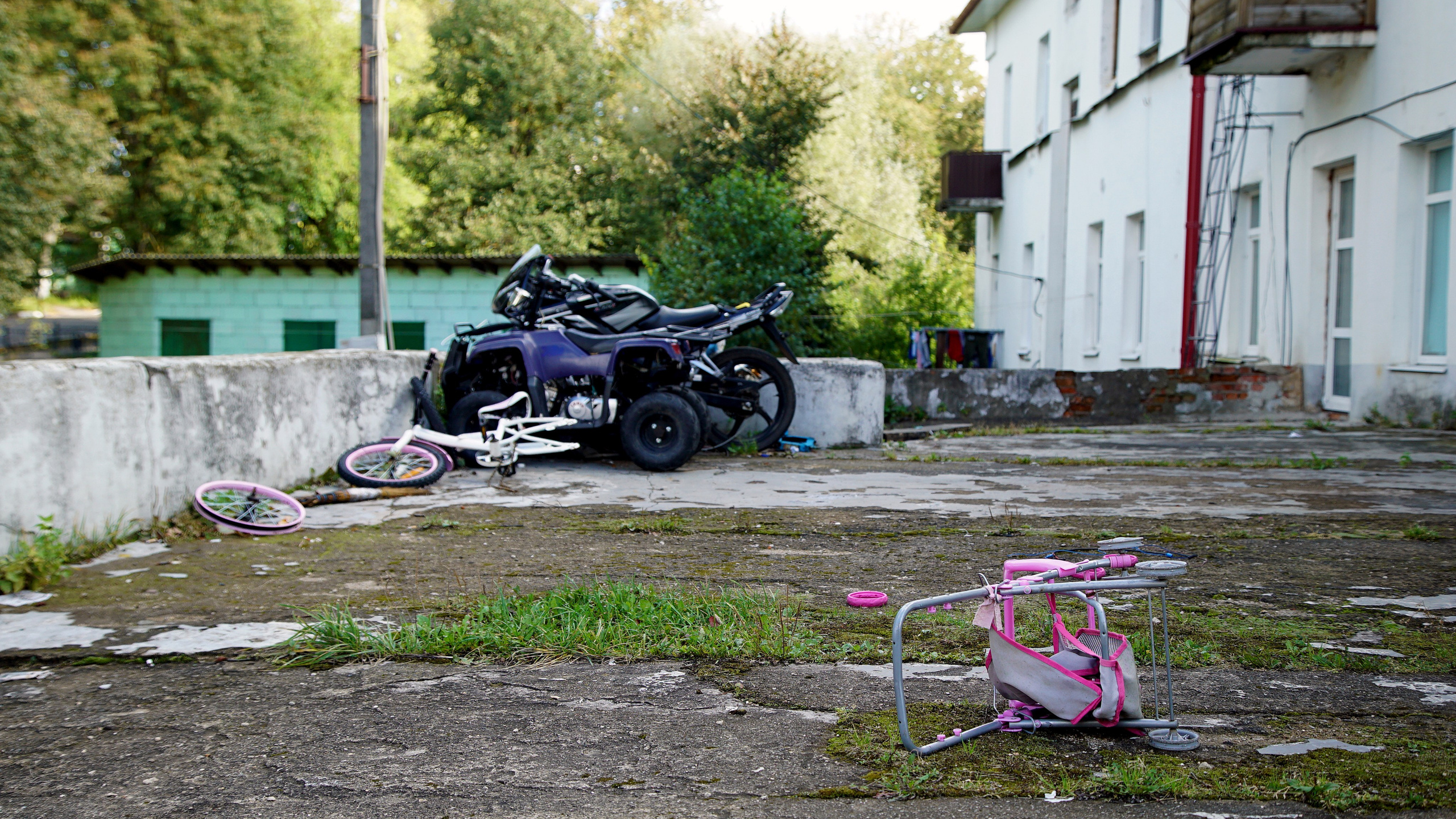 Фото. Ильнур Таминдаров