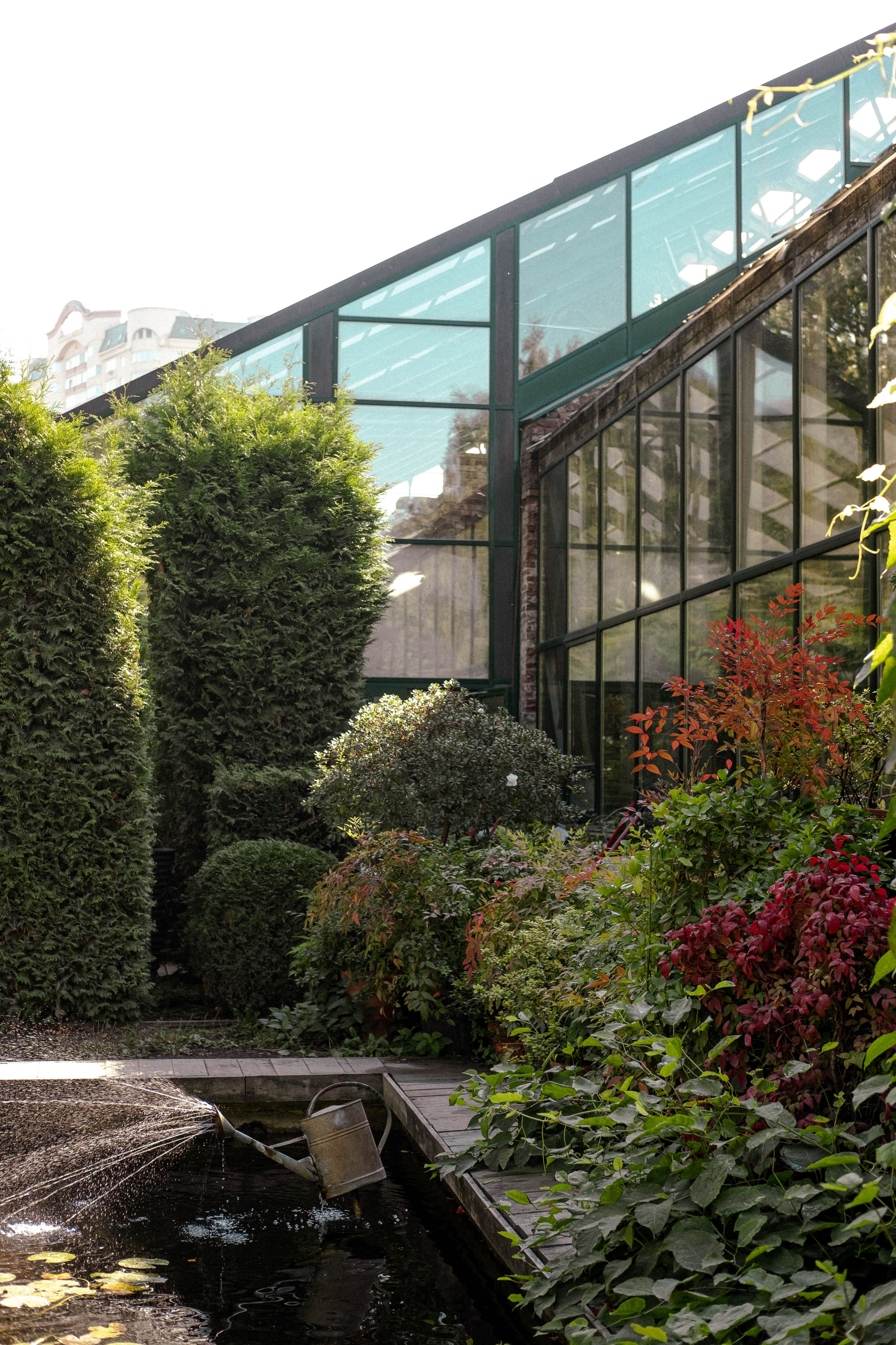 Москва 2024. Свадебный и семейный фотограф в Новосибирске, Санкт-Петербурге, Москве