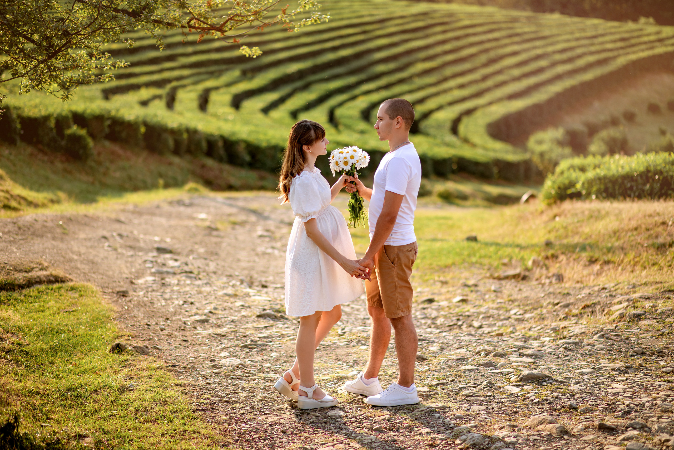 Лариса. Чайные плантации. Фотограф Москва. Семейные и индивидуальные фотосессии в Москве