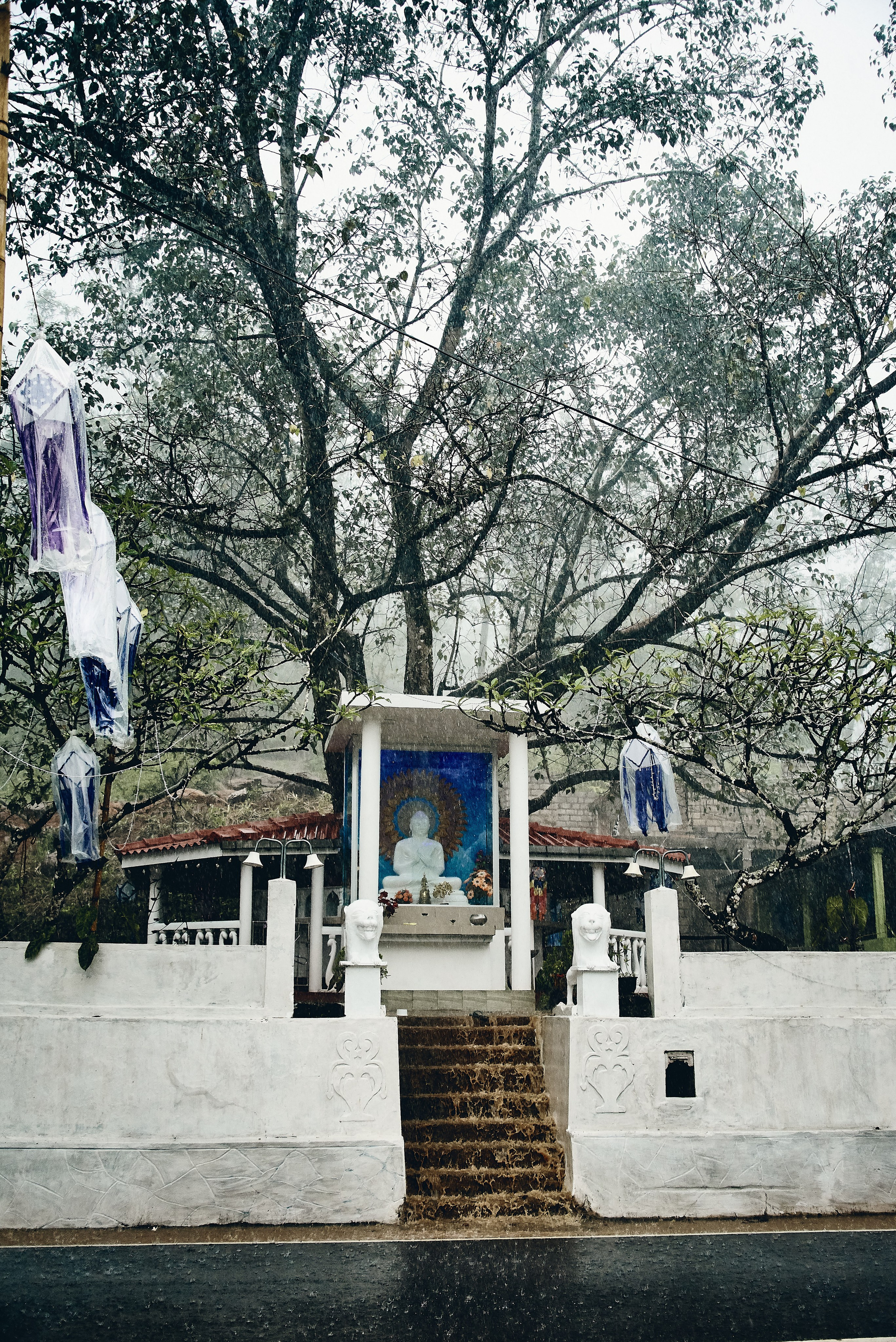 Moto Trip 23-05-19. Никита Хохловский фото и видео продакшн