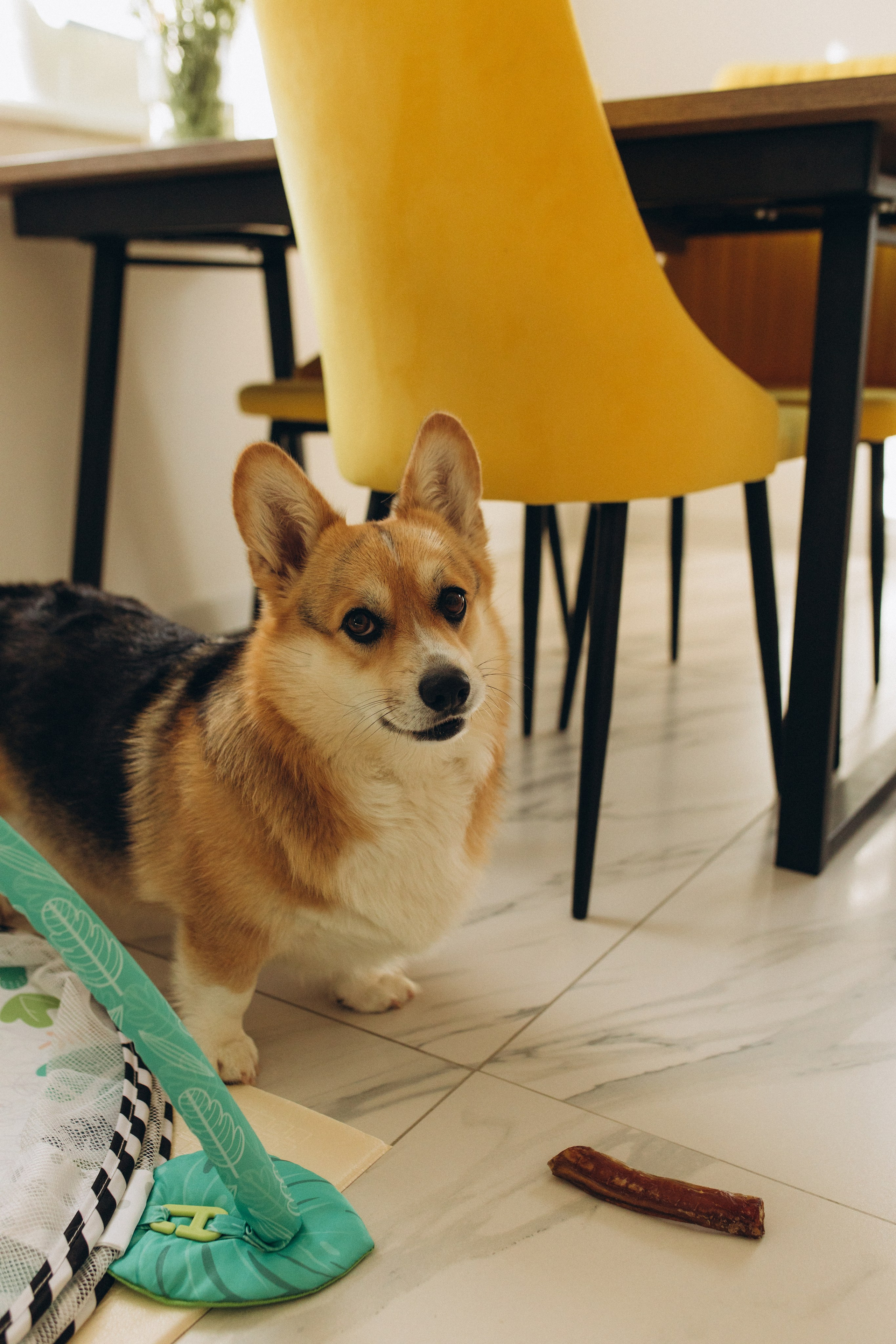Домашняя. Семейный фотограф в Обнинске