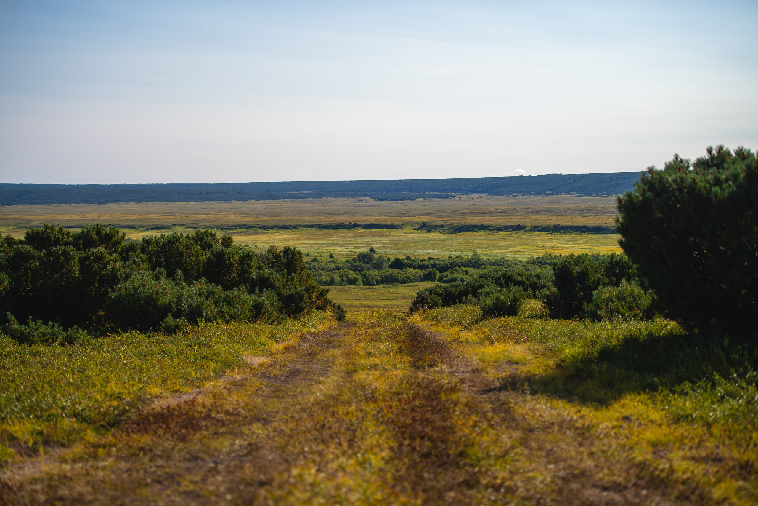 Камчатка. Фотограф в Санкт-Петербурге Вихтинский Николай