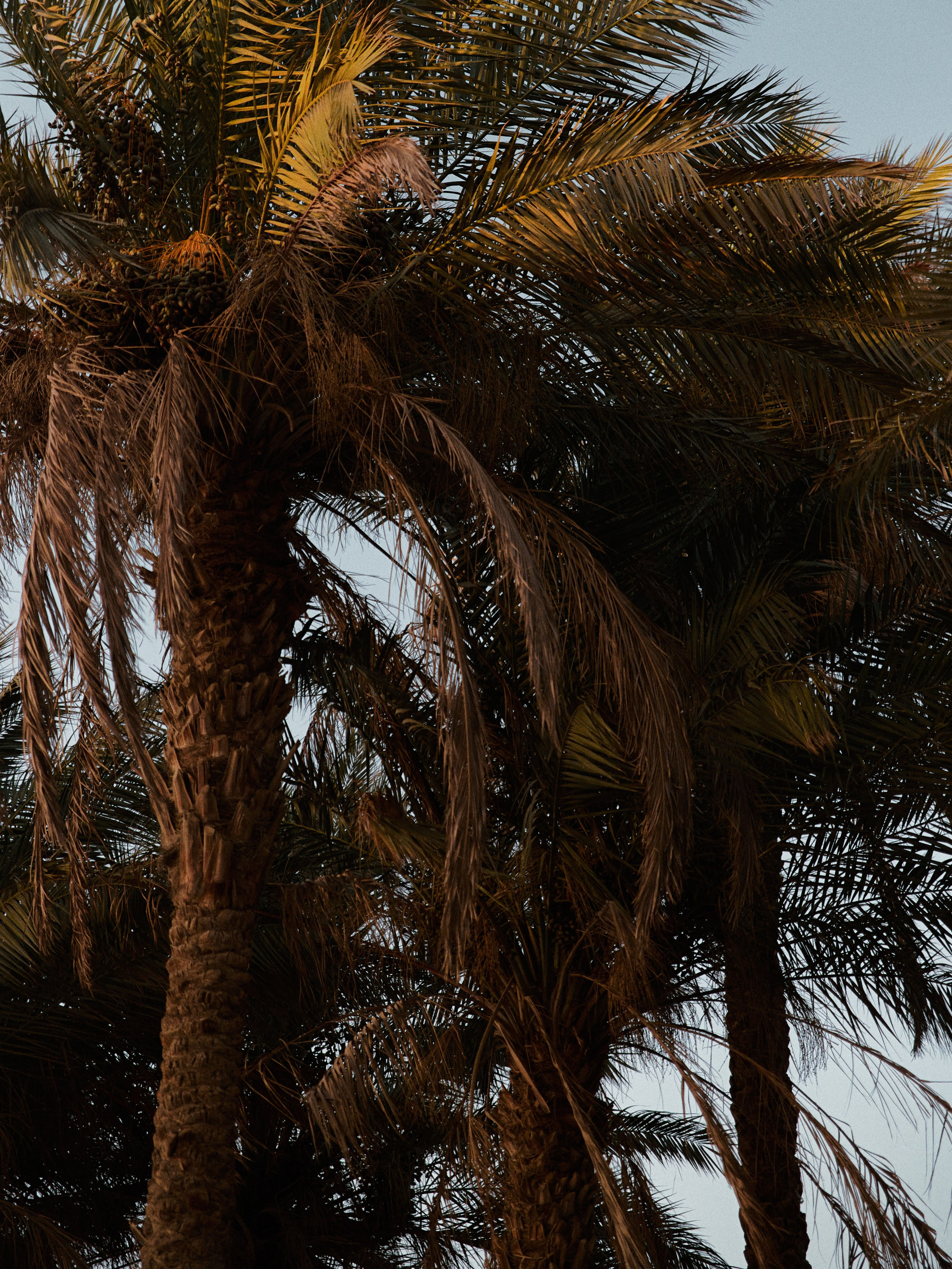 Природа. Jorgis Talè — photographer, kind person, teacher of arts and other mag