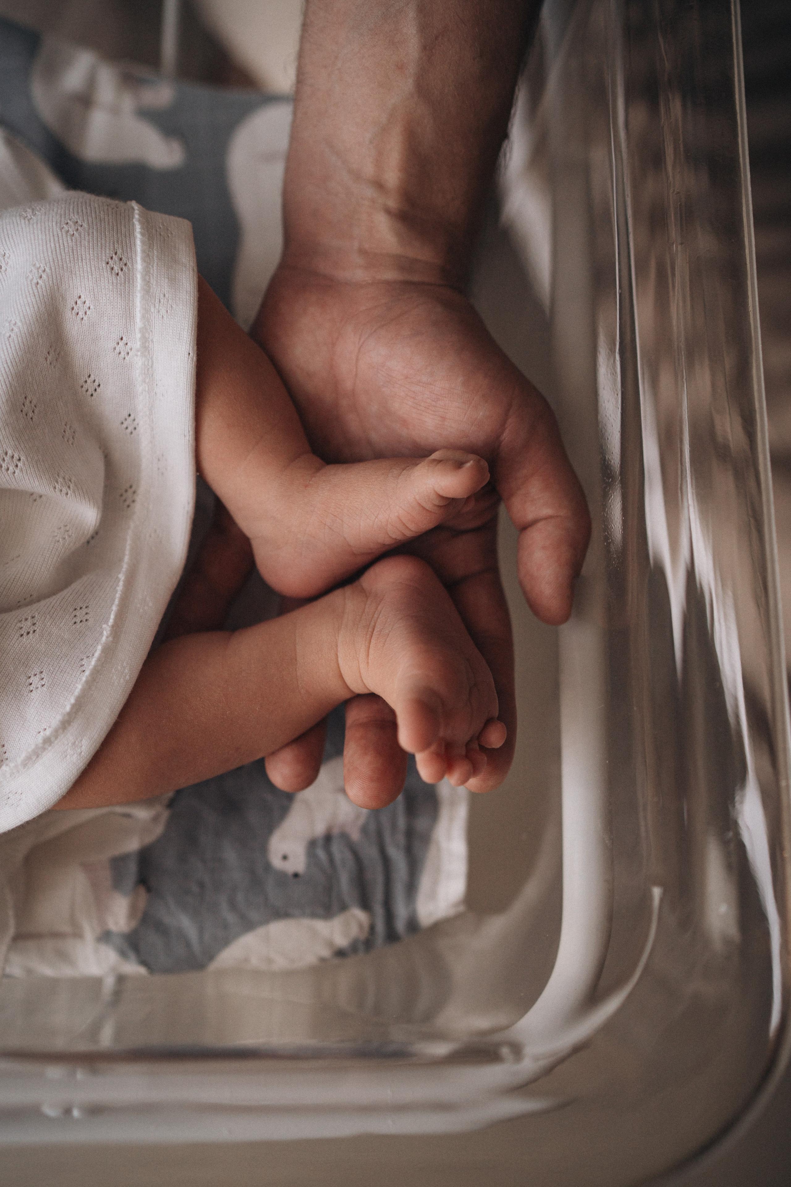 Тимур. Надежда Виховская — семейный фотограф в Астане