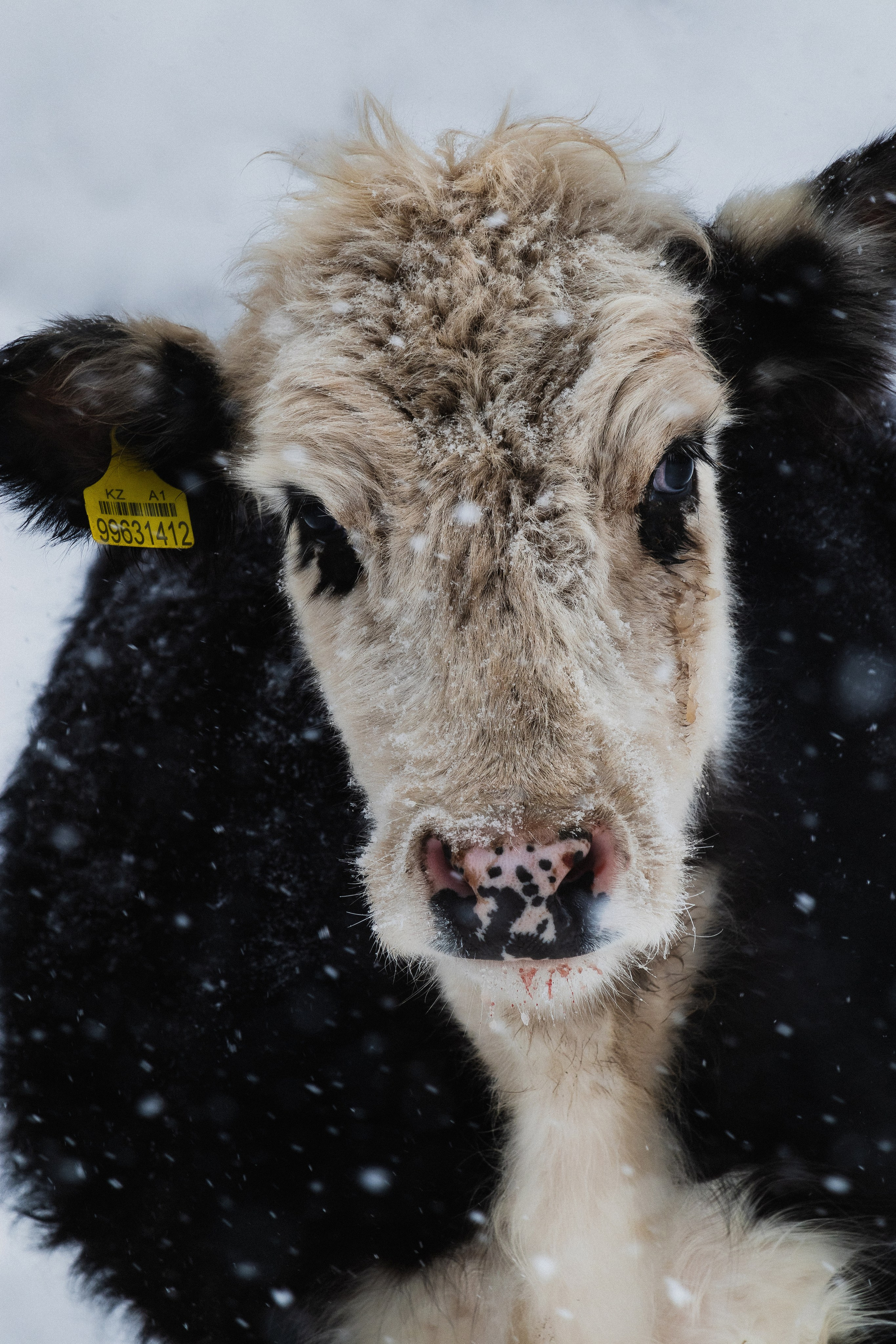 Жизнь. Фотограф Алматы | Весь мир — Никита Колодин