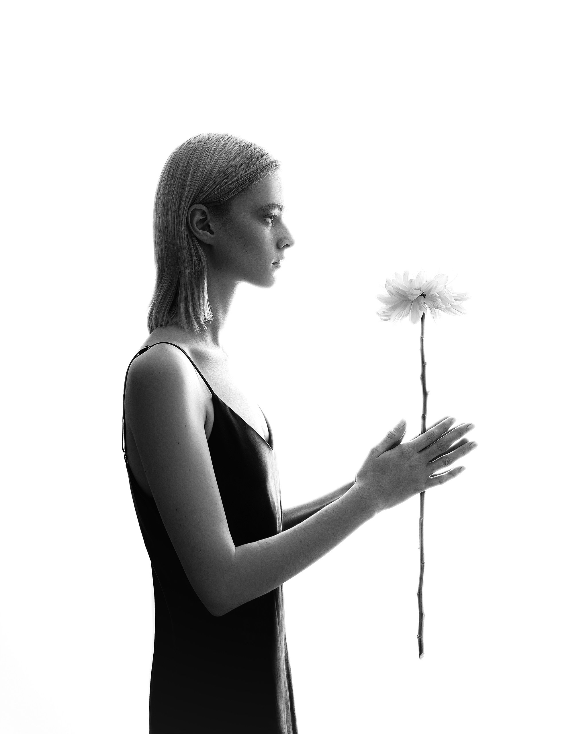 FLOWER. Фотограф Алматы | Весь мир — Никита Колодин