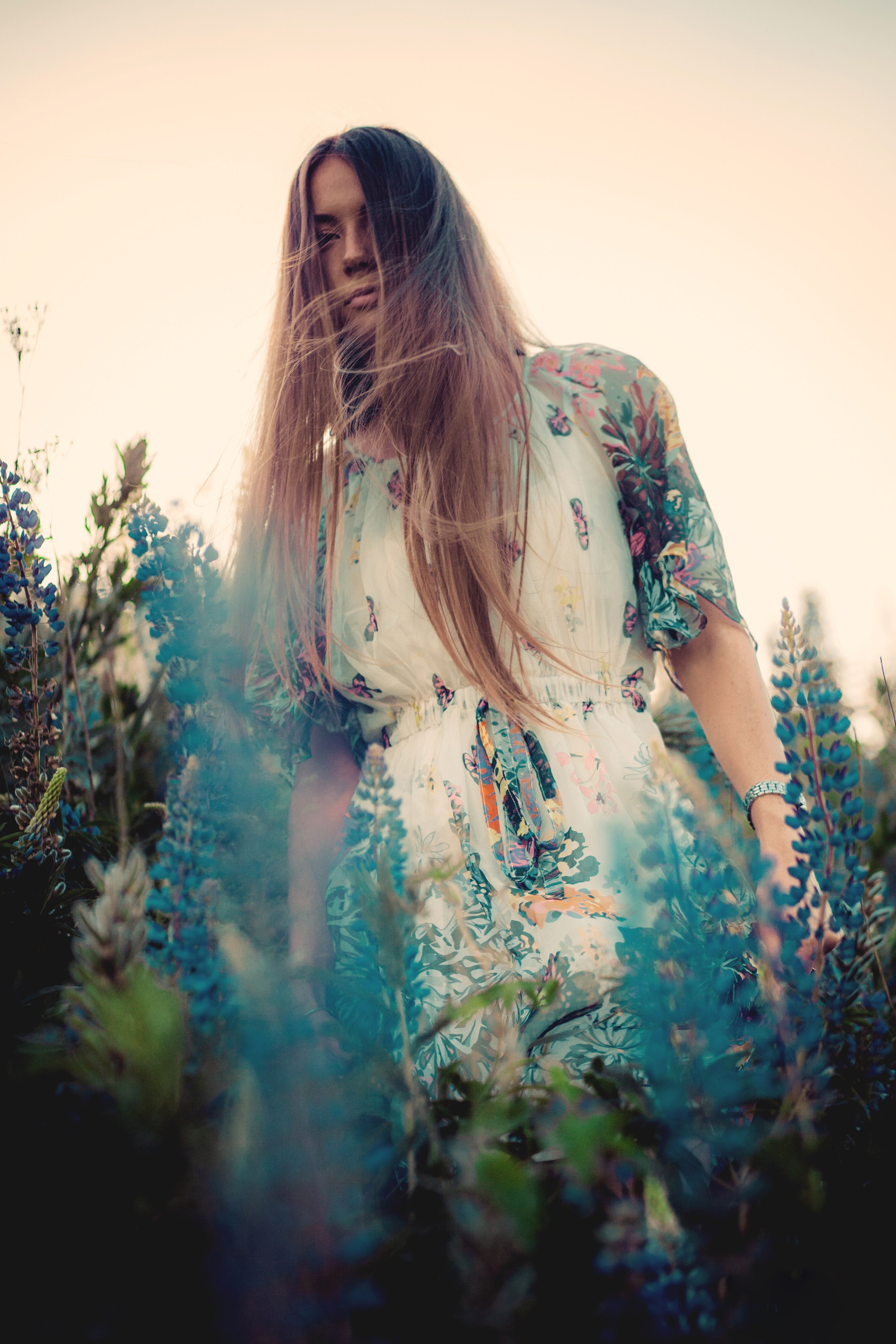 Юля — Люпины. Фотограф Михаил Коган — Москва 89267284460