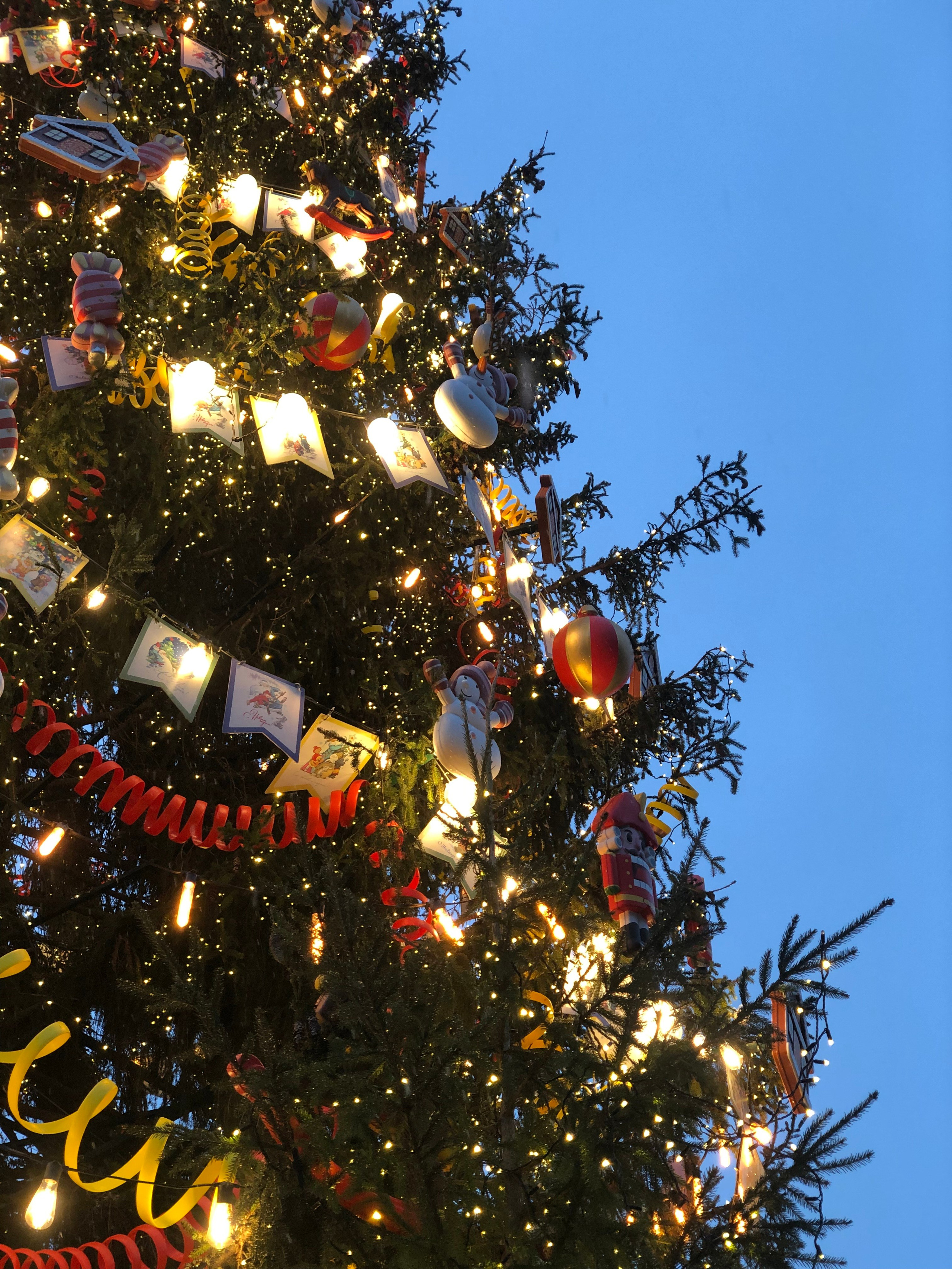 Декабрь. Семейный, Свадебный фотограф СПБ Питер— Романова Екатерина