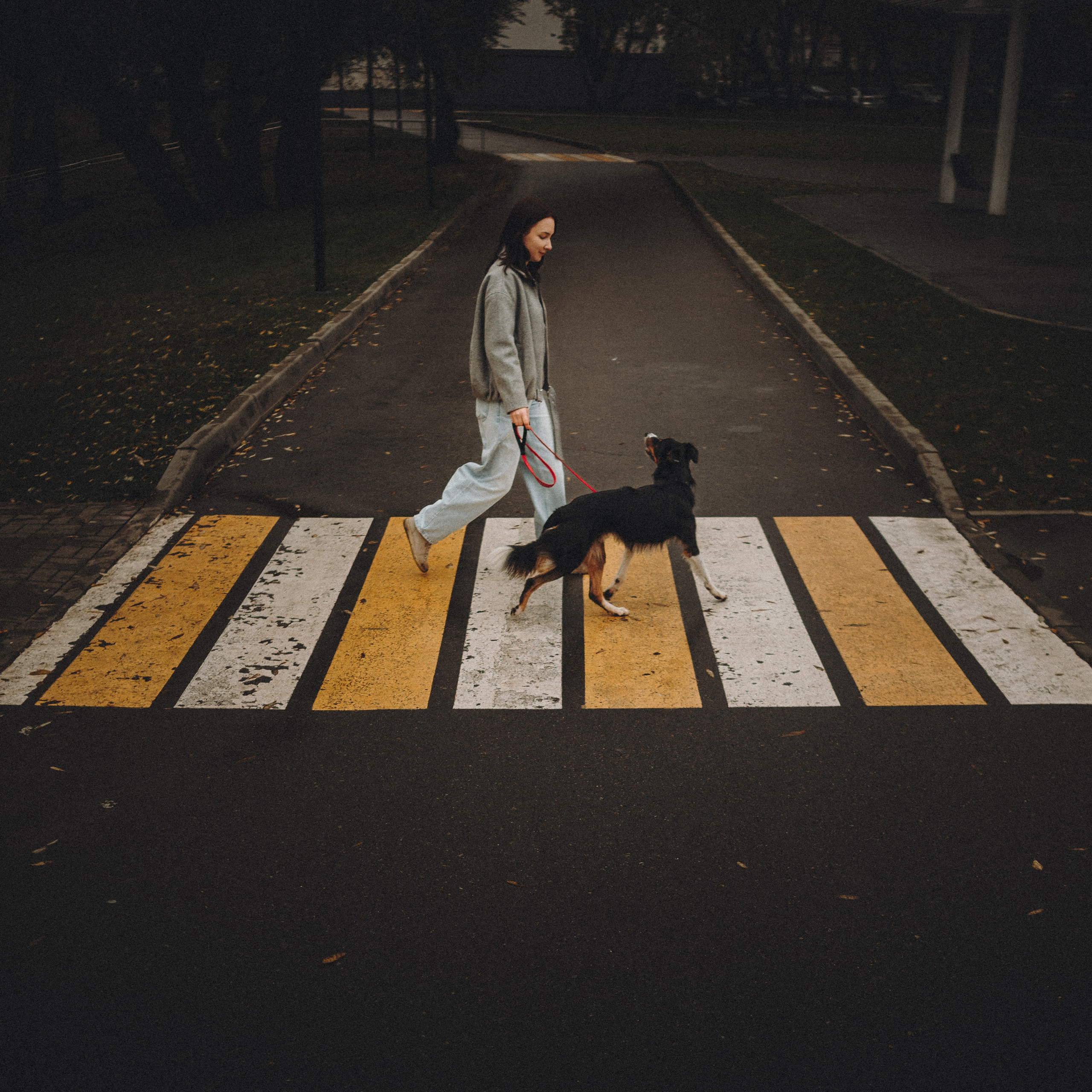 Аня, Оскар и Яр. Семейный фотограф анималист Ананьева Мария — Москва