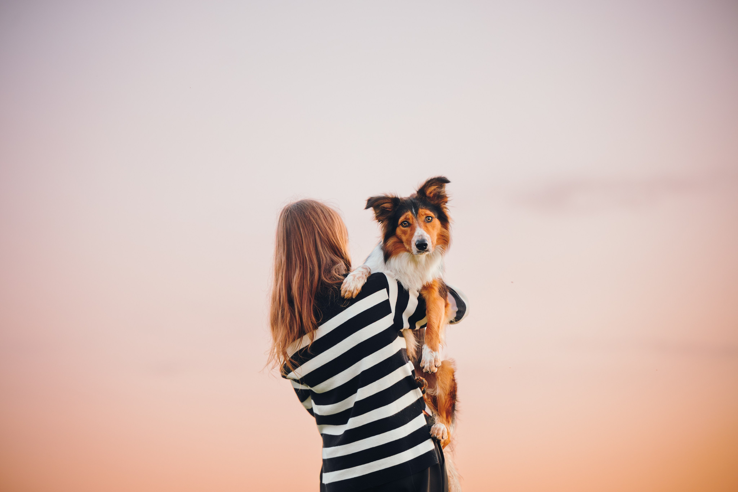 Саша, Флик и Эсприт. Семейный фотограф анималист Ананьева Мария — Москва