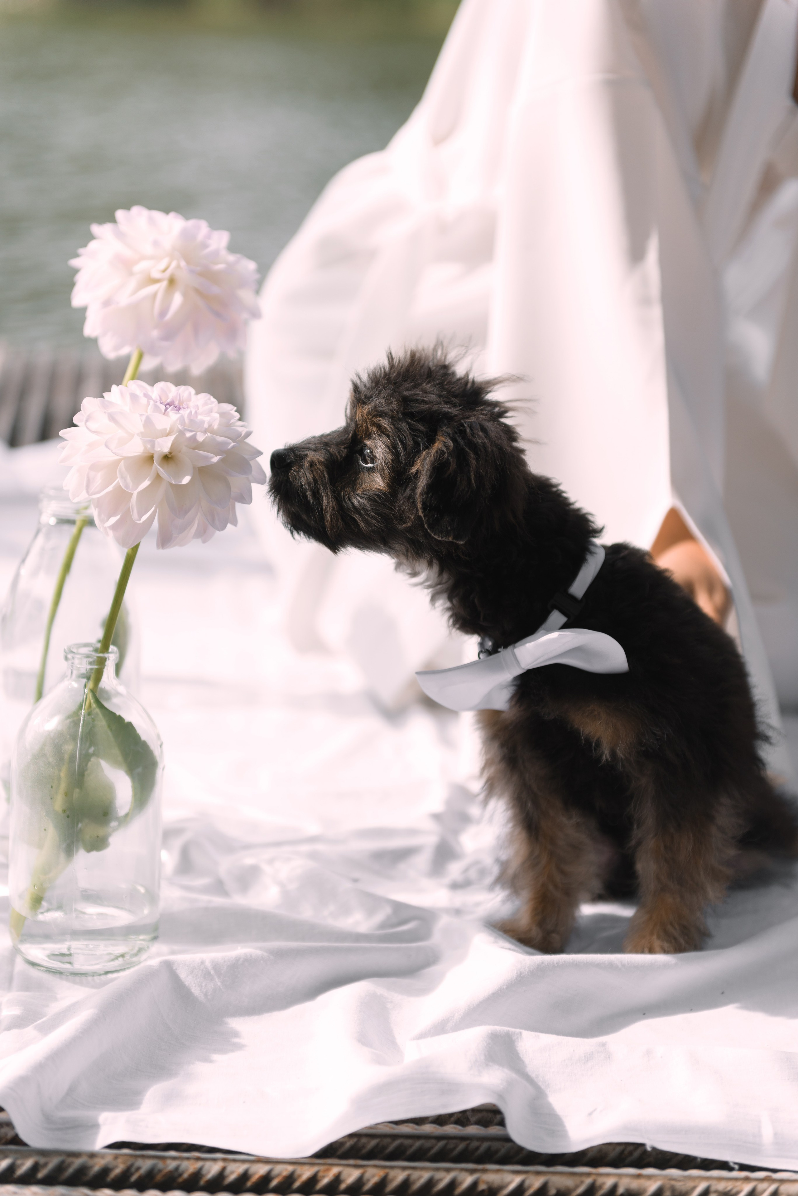 КРИСТИНА & МАКСИМ. Галина Котаранова — свадебный и семейный фотограф в Тамбове