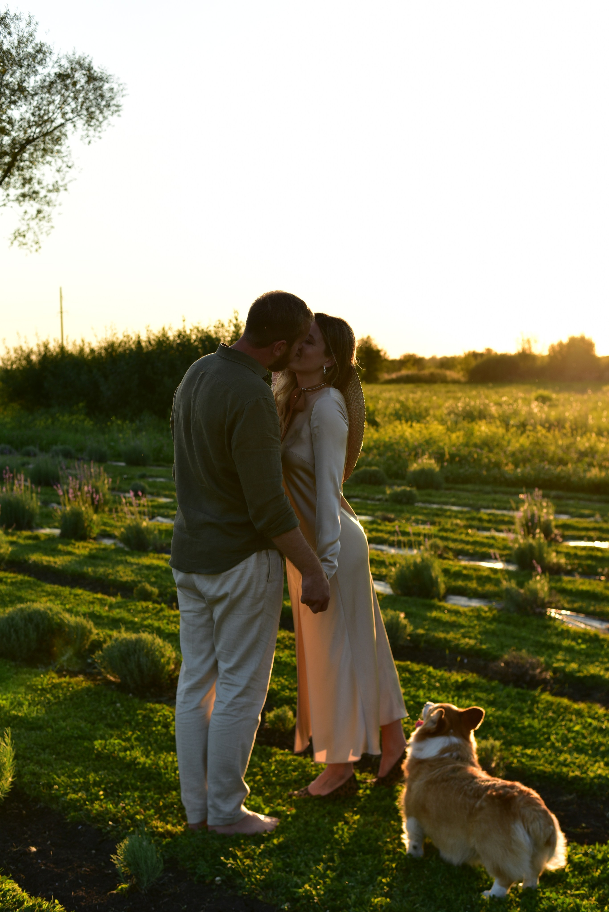 Наталья и Владимир. Свадебный и семейный фотограф в Воронеже Ксения Воротникова