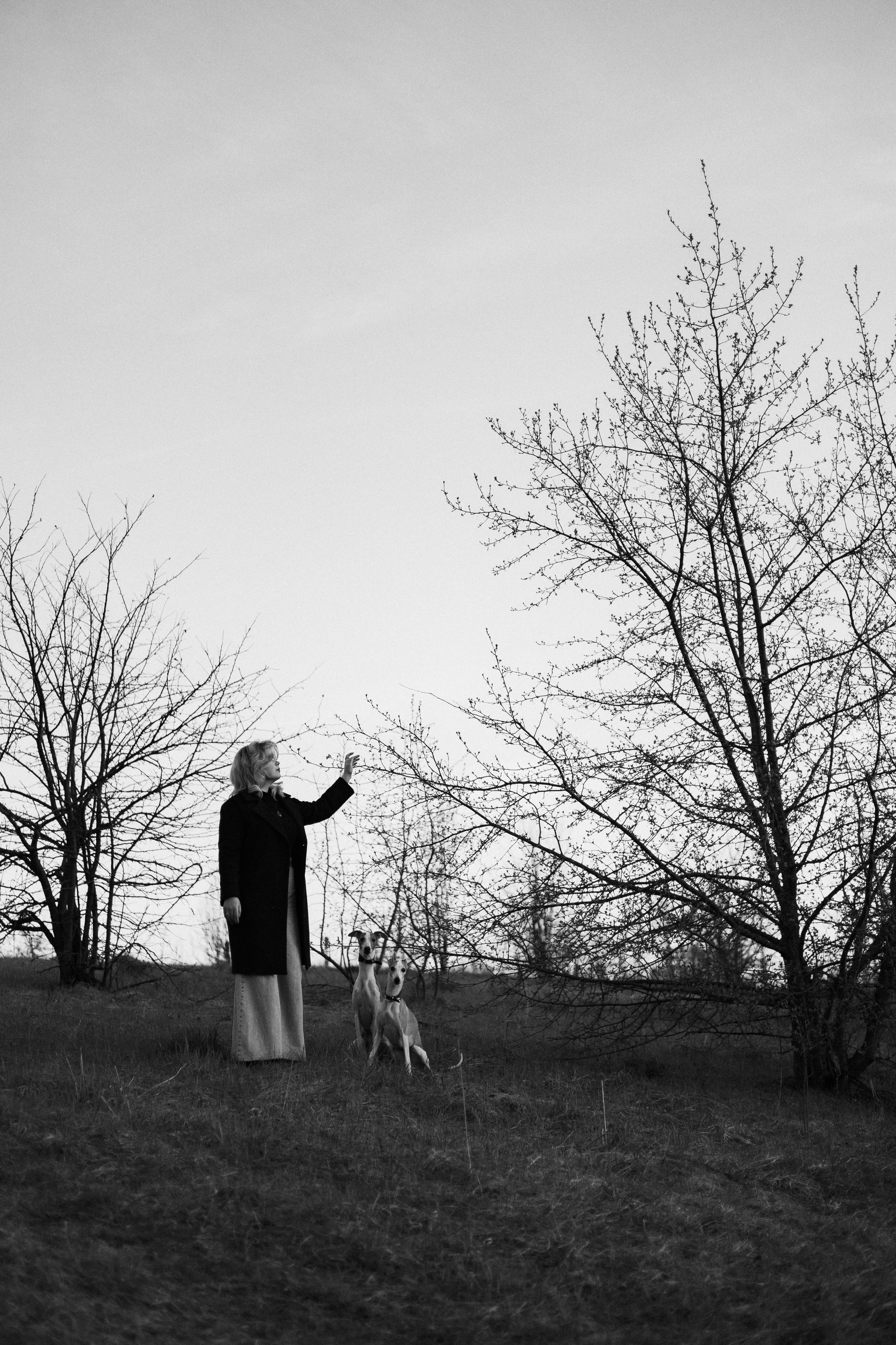Вика, Джем и Белла. Фотограф-анималист Богданова Полина