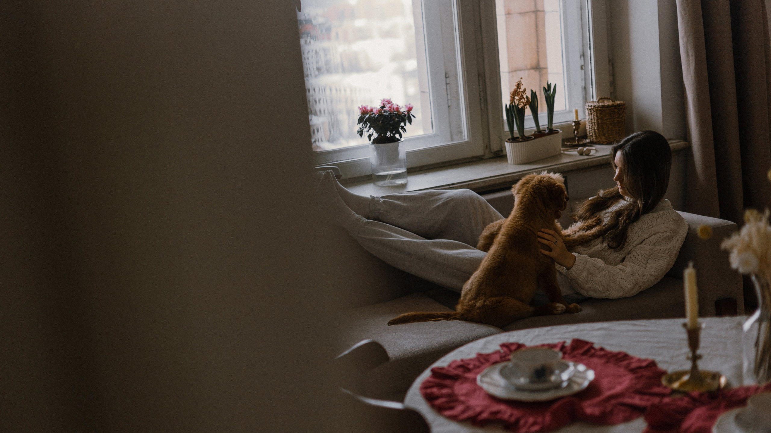 Маша, Одди и Нэвил. Фотограф-анималист Богданова Полина