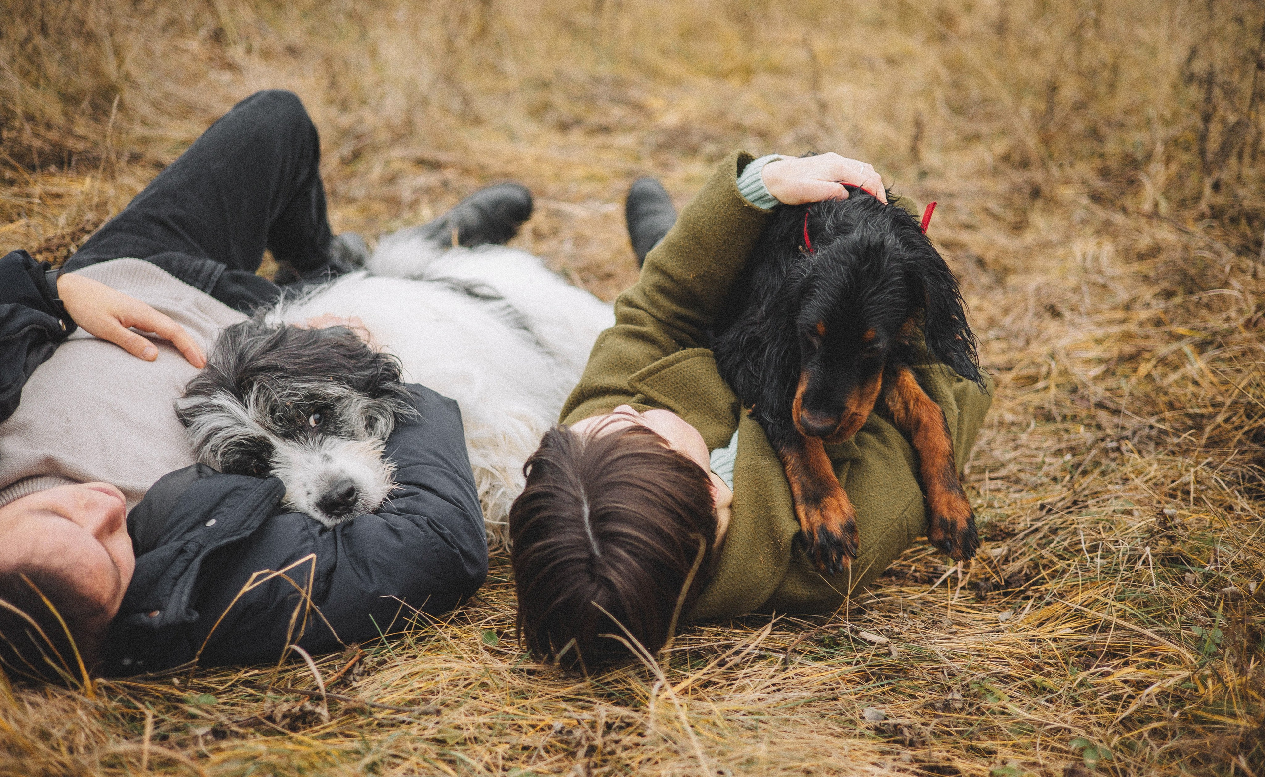 Даша, Глеб, Барс и Бруно. Фотограф-анималист Богданова Полина