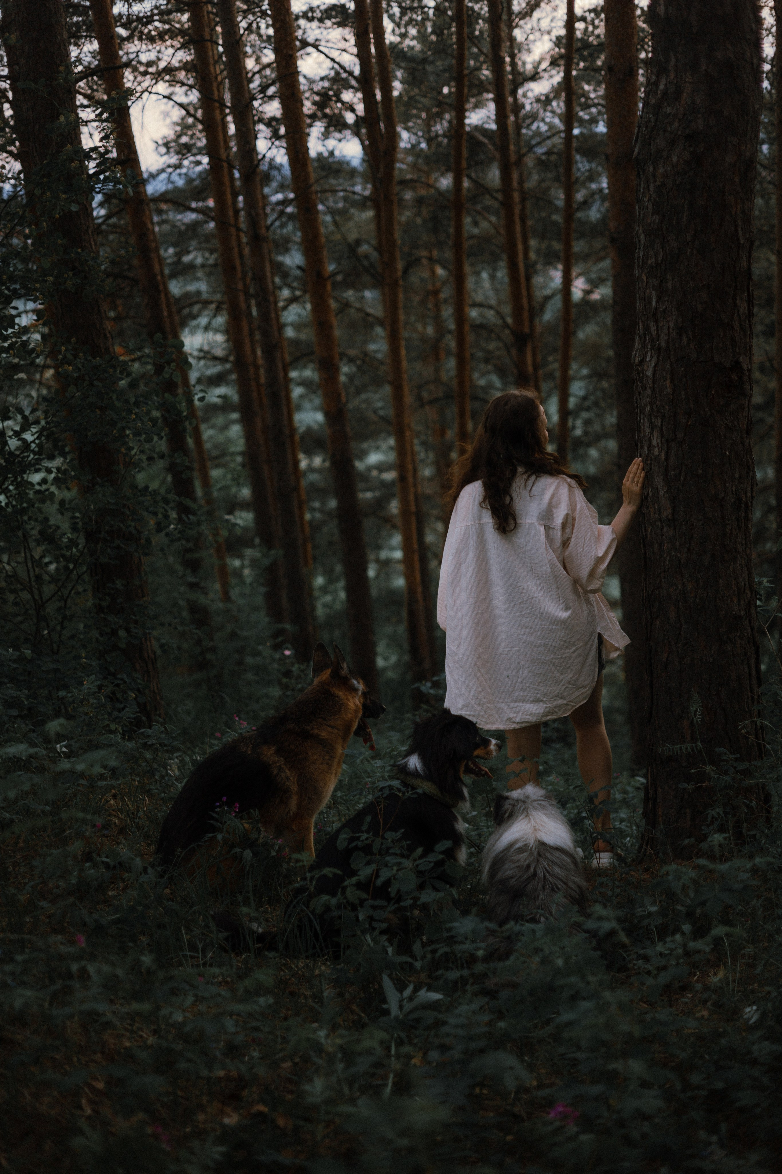 Настя, Шуня, Милка и Тигуан. Фотограф-анималист Богданова Полина