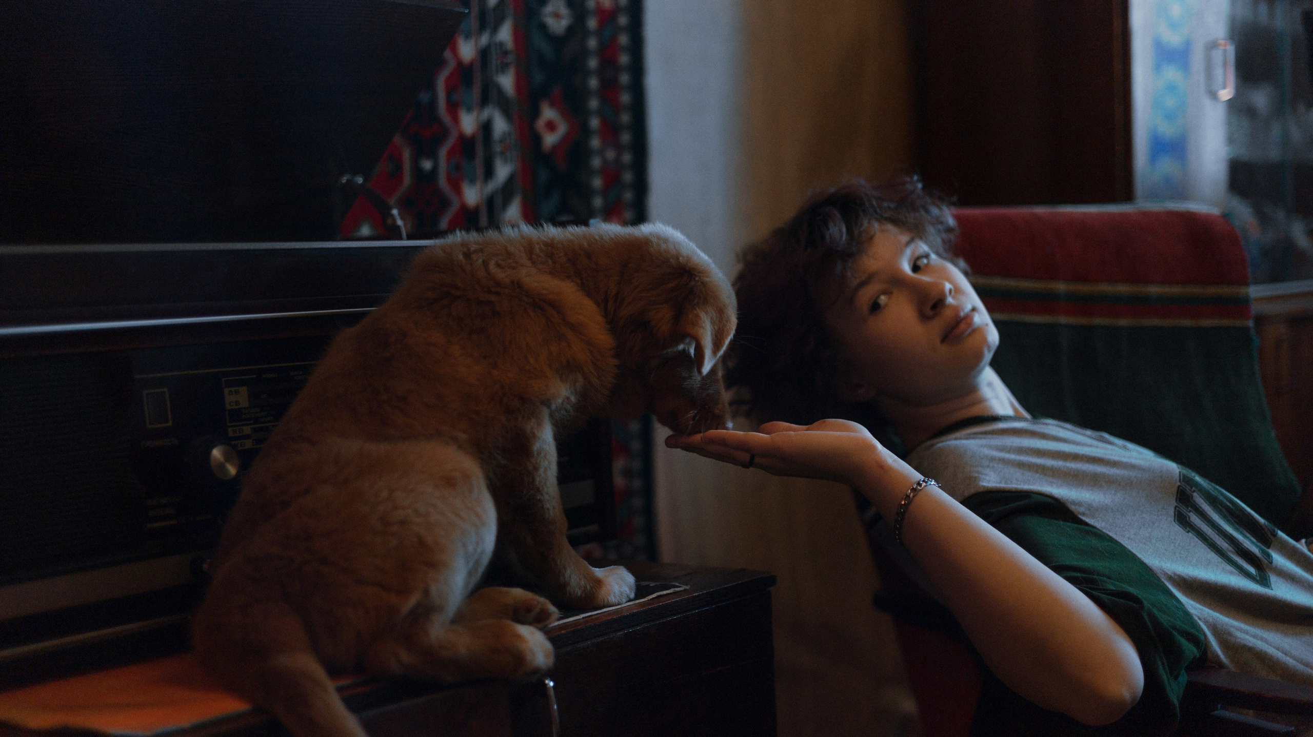 Лера, Реджи и Ральф. Фотограф-анималист Богданова Полина