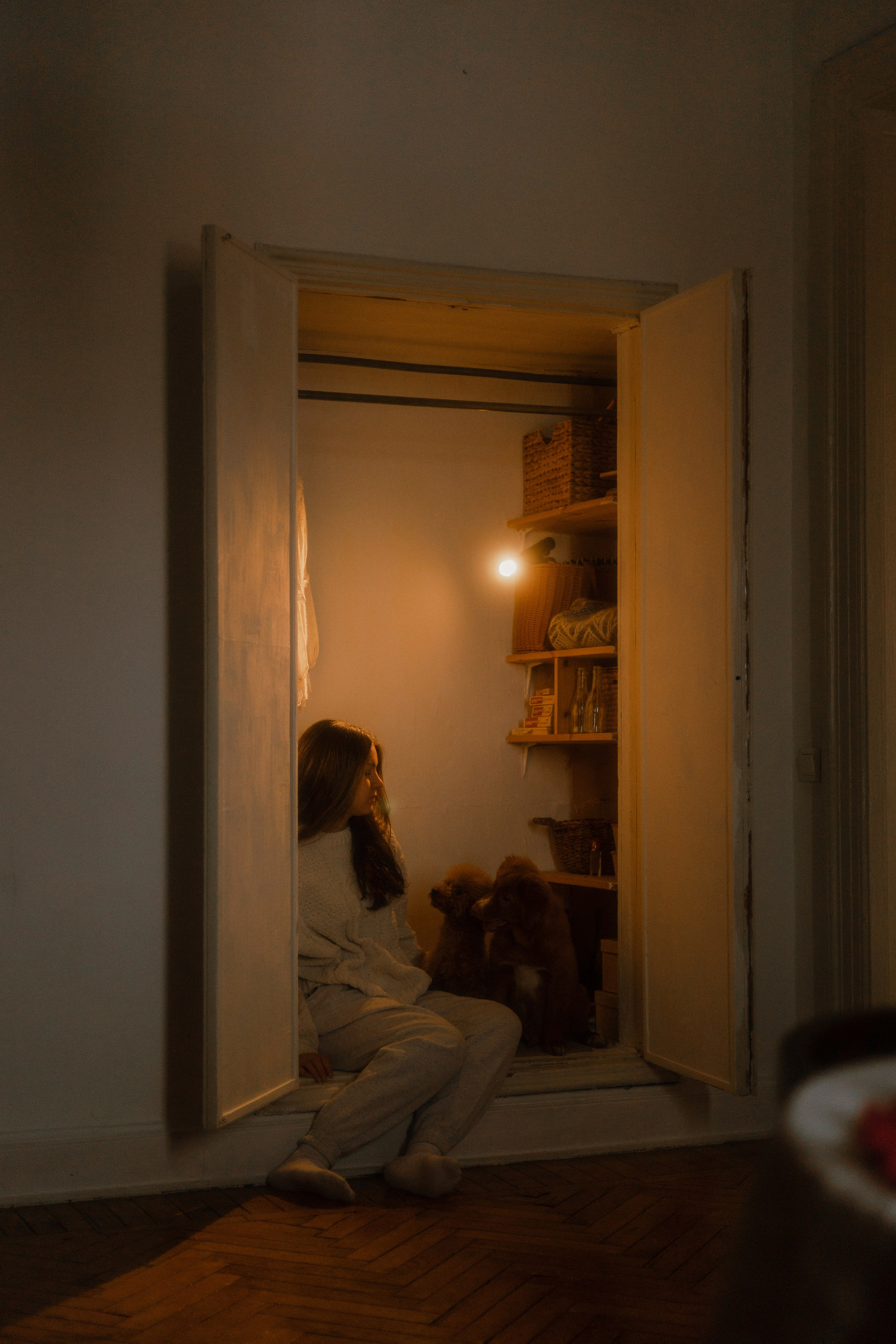 Маша, Одди и Нэвил. Фотограф-анималист Богданова Полина