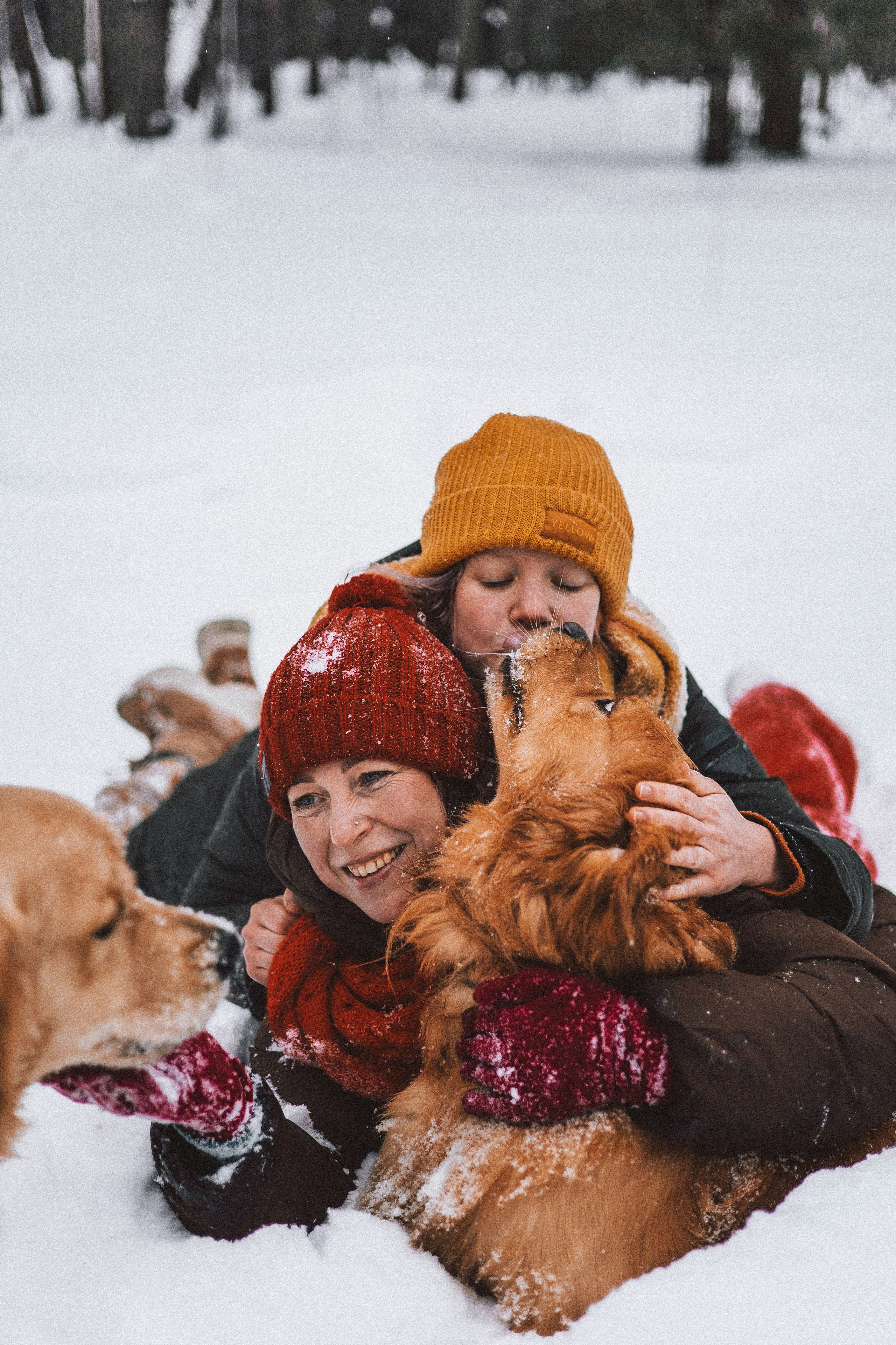 Саша, Юля, Грэй и Джой. Фотограф-анималист Богданова Полина
