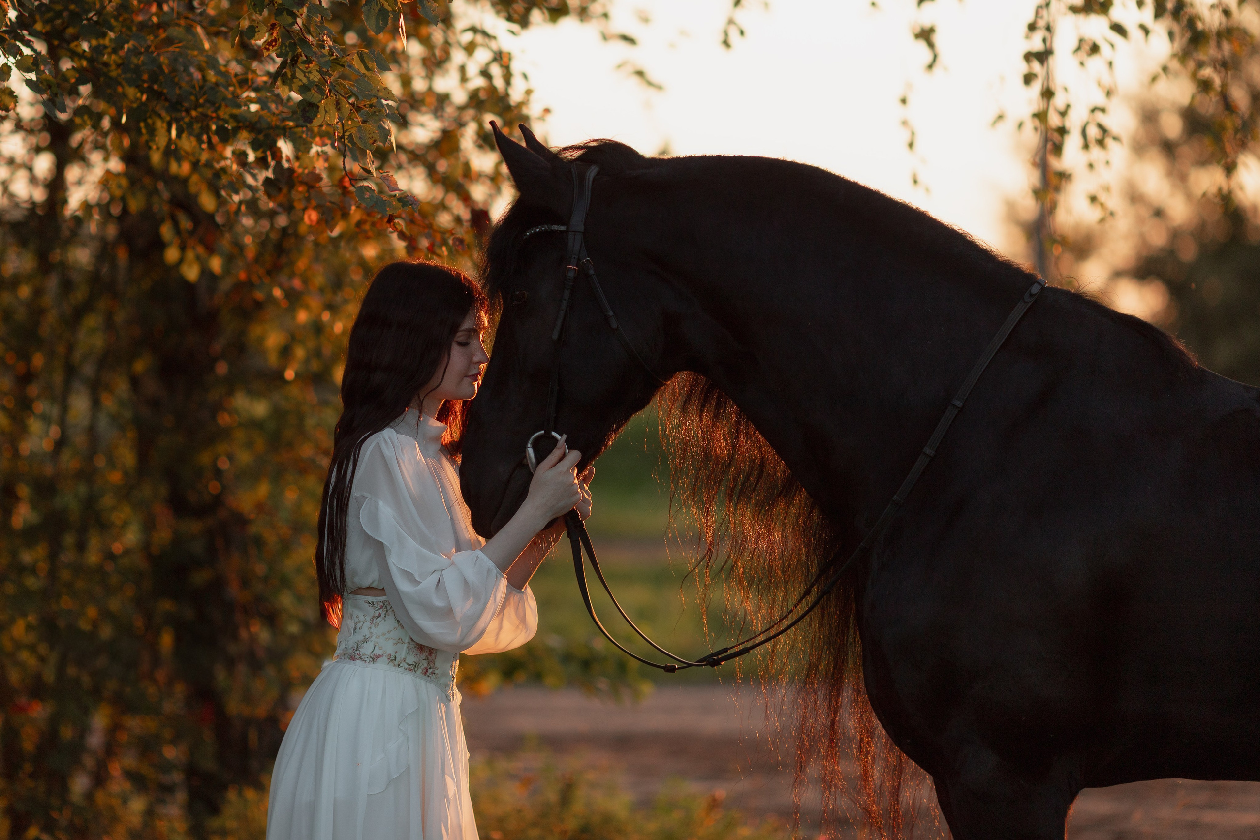 Фотосессия с лошадьми на закате. Фотосессии с лошадьми в Москве от Конный фотографа Кутейниковой Светланы