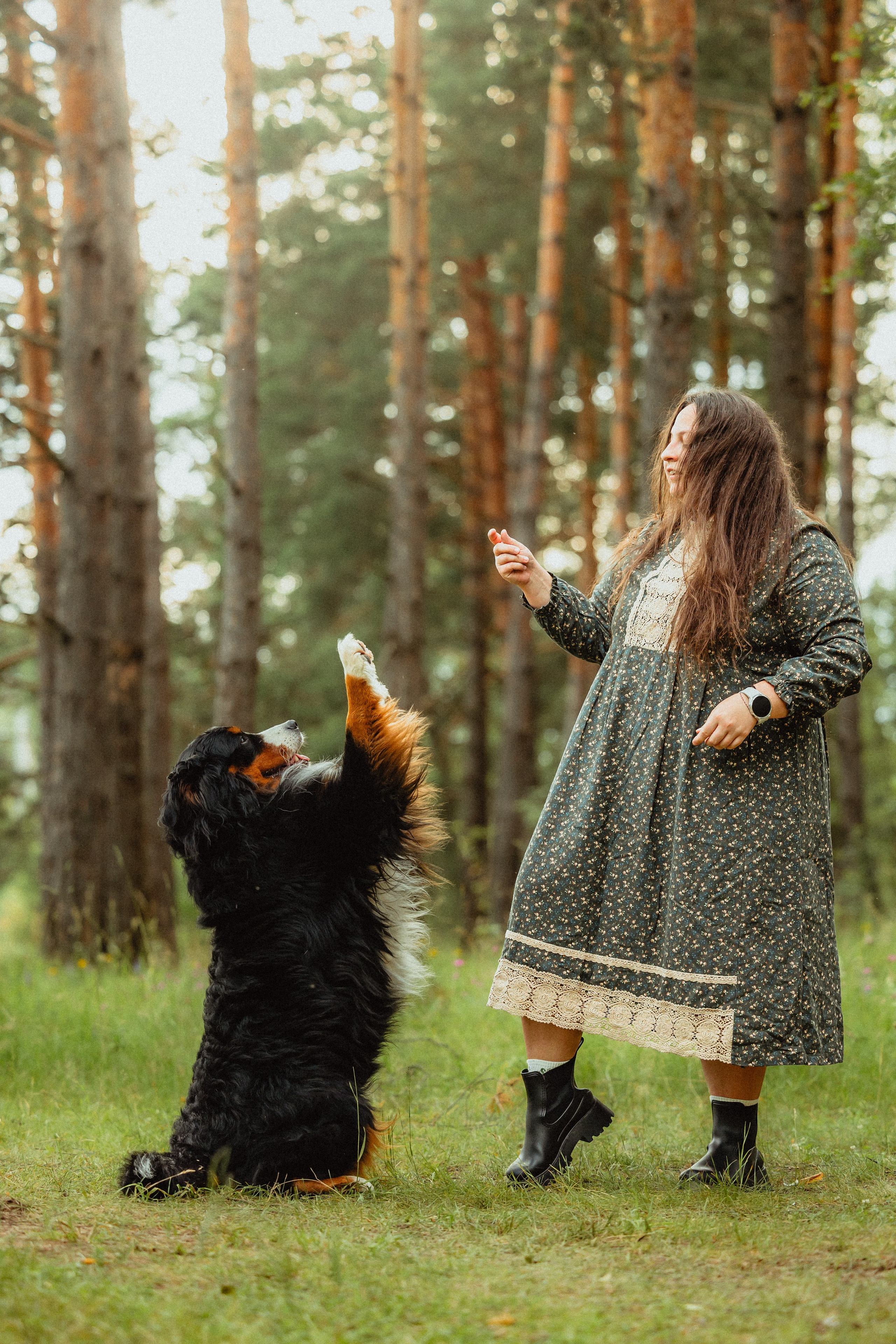 Выездной дог-тренинг от школы «Шерсть имею»